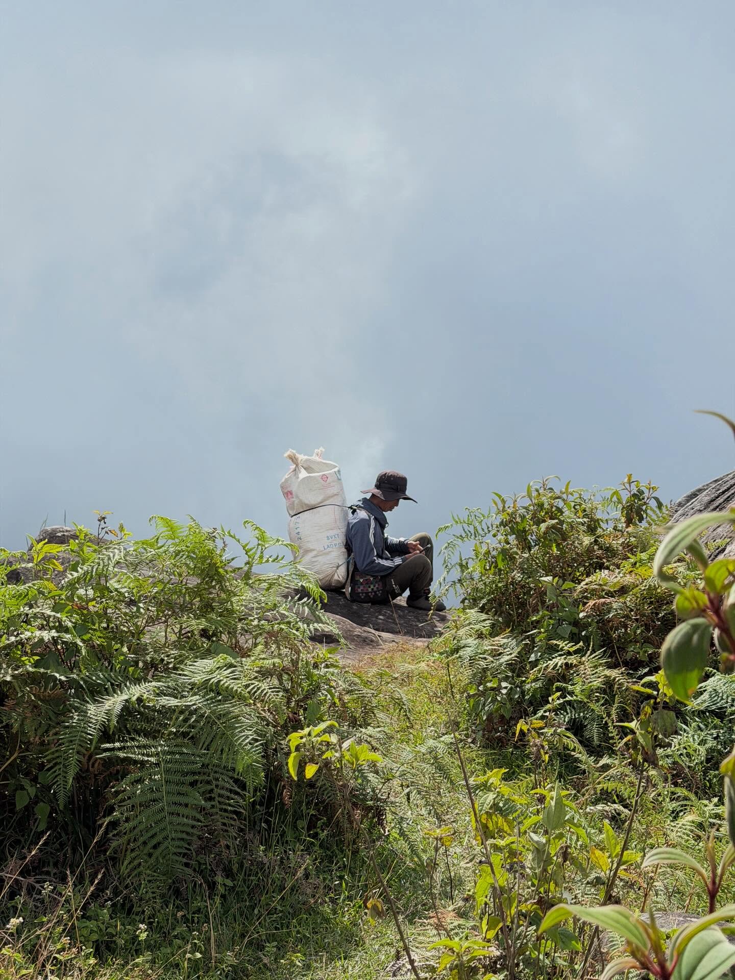 เฟย - ภัทร เอกแสงกุล