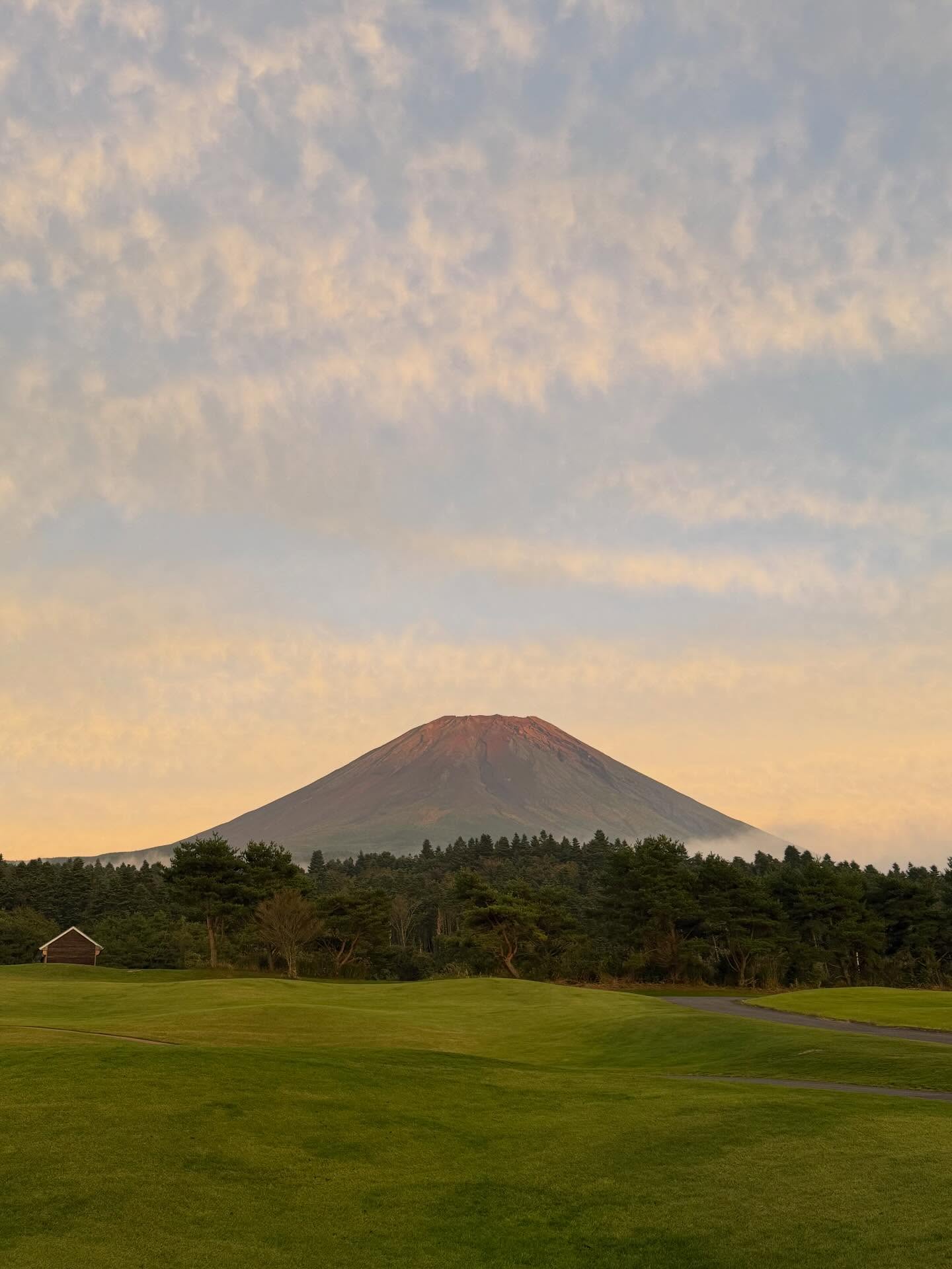 เฟย - ภัทร เอกแสงกุล