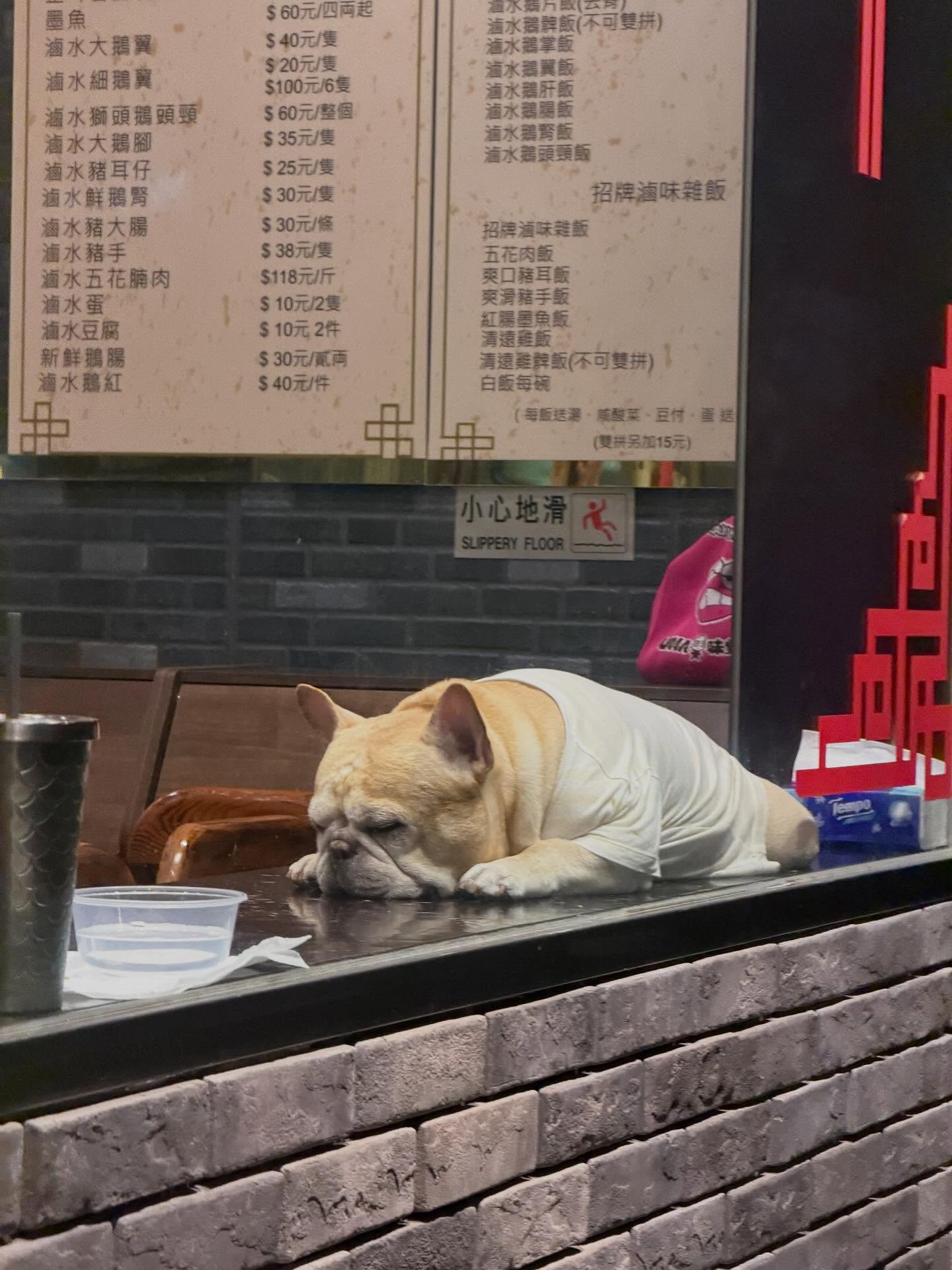 เฟย - ภัทร เอกแสงกุล