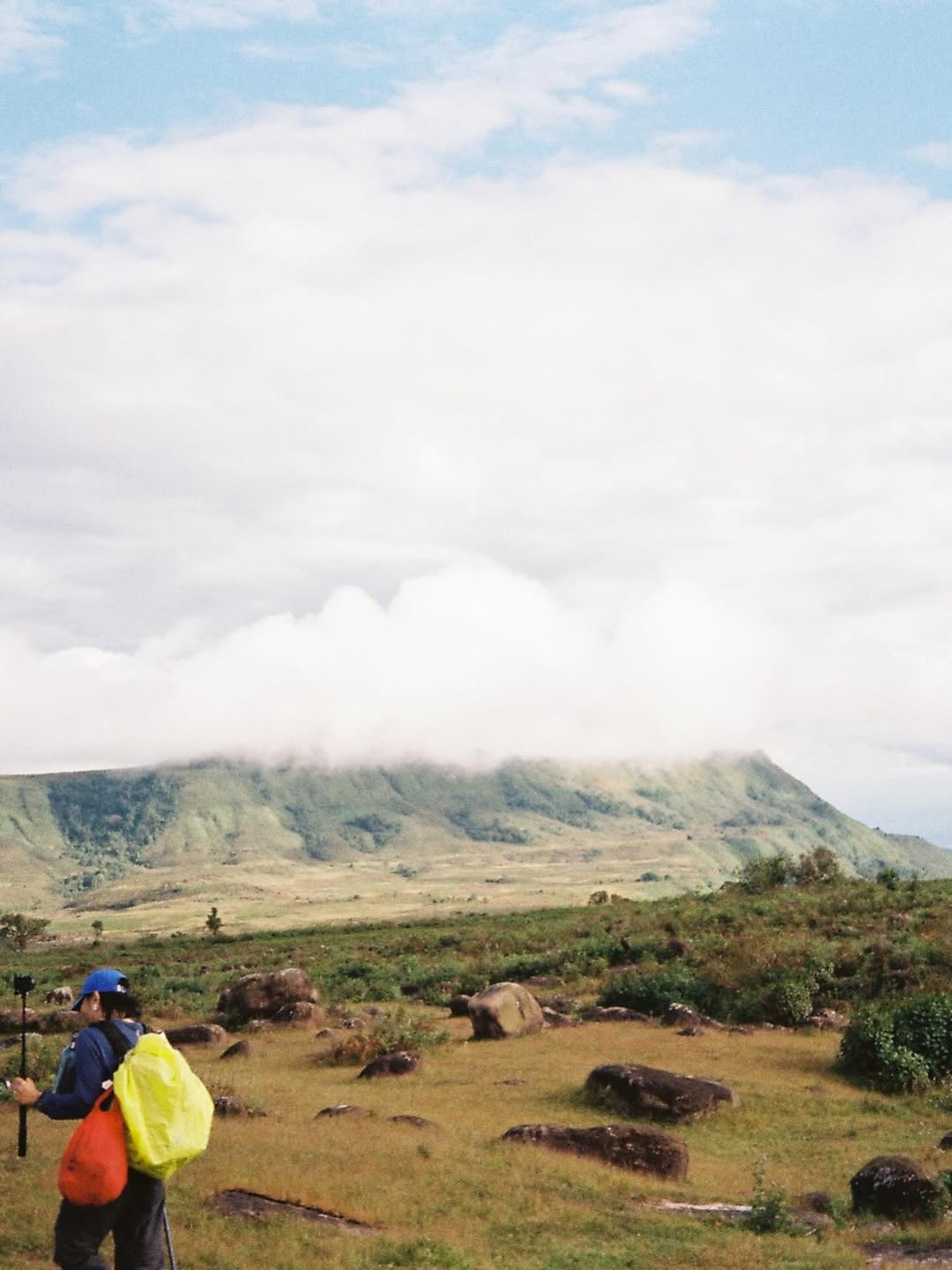 เฟย - ภัทร เอกแสงกุล