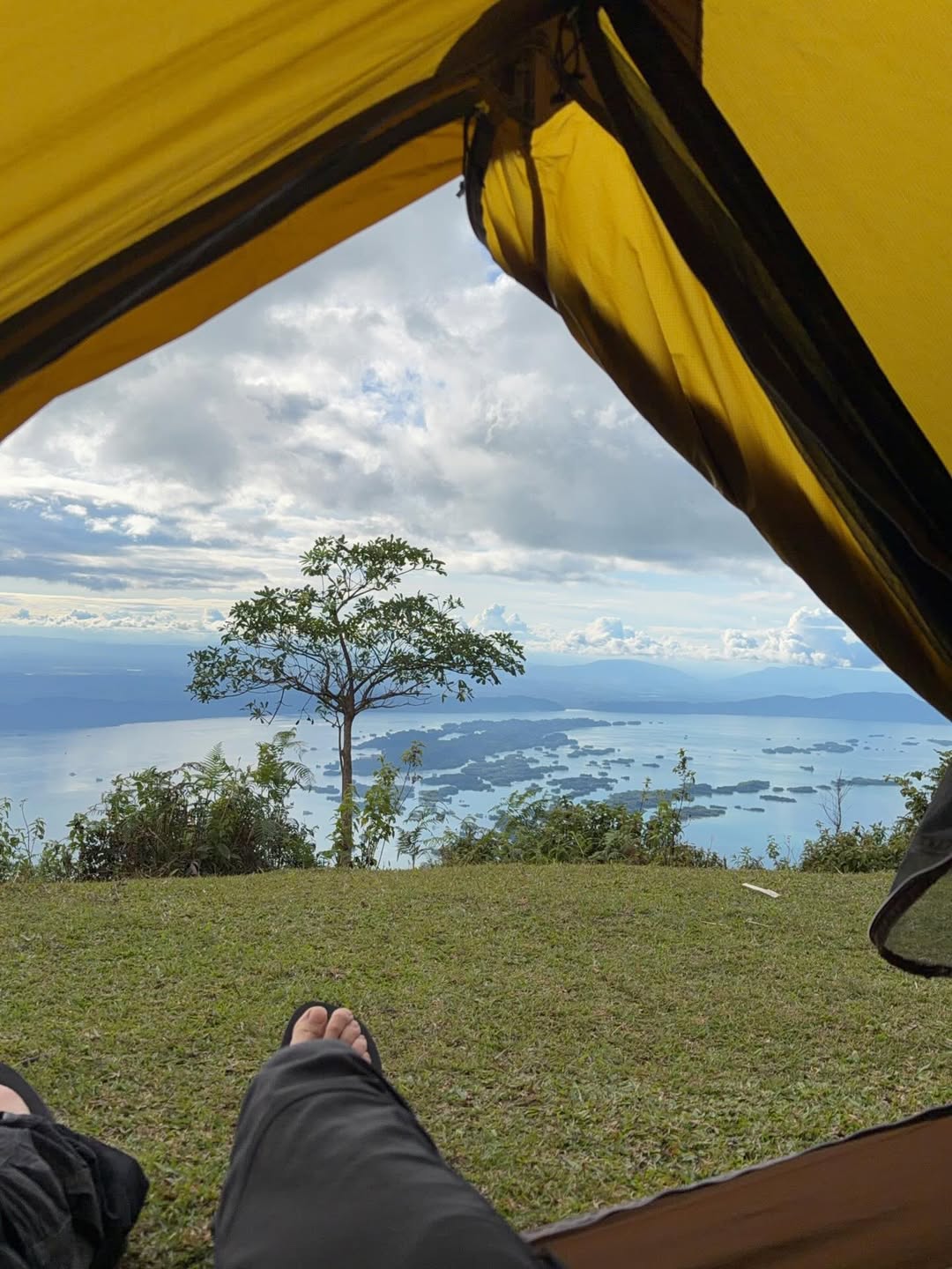 เฟย - ภัทร เอกแสงกุล