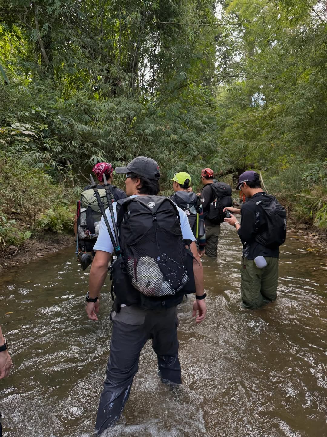 เฟย - ภัทร เอกแสงกุล