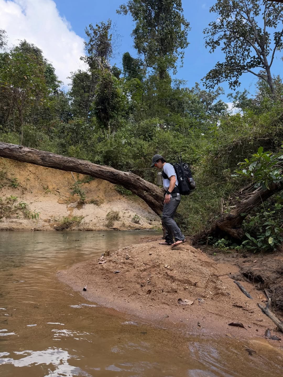 เฟย - ภัทร เอกแสงกุล