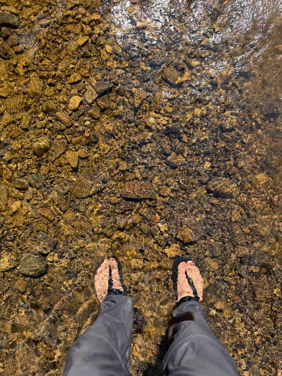 เฟย - ภัทร เอกแสงกุล