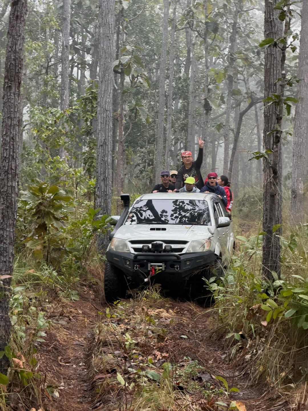 เฟย - ภัทร เอกแสงกุล