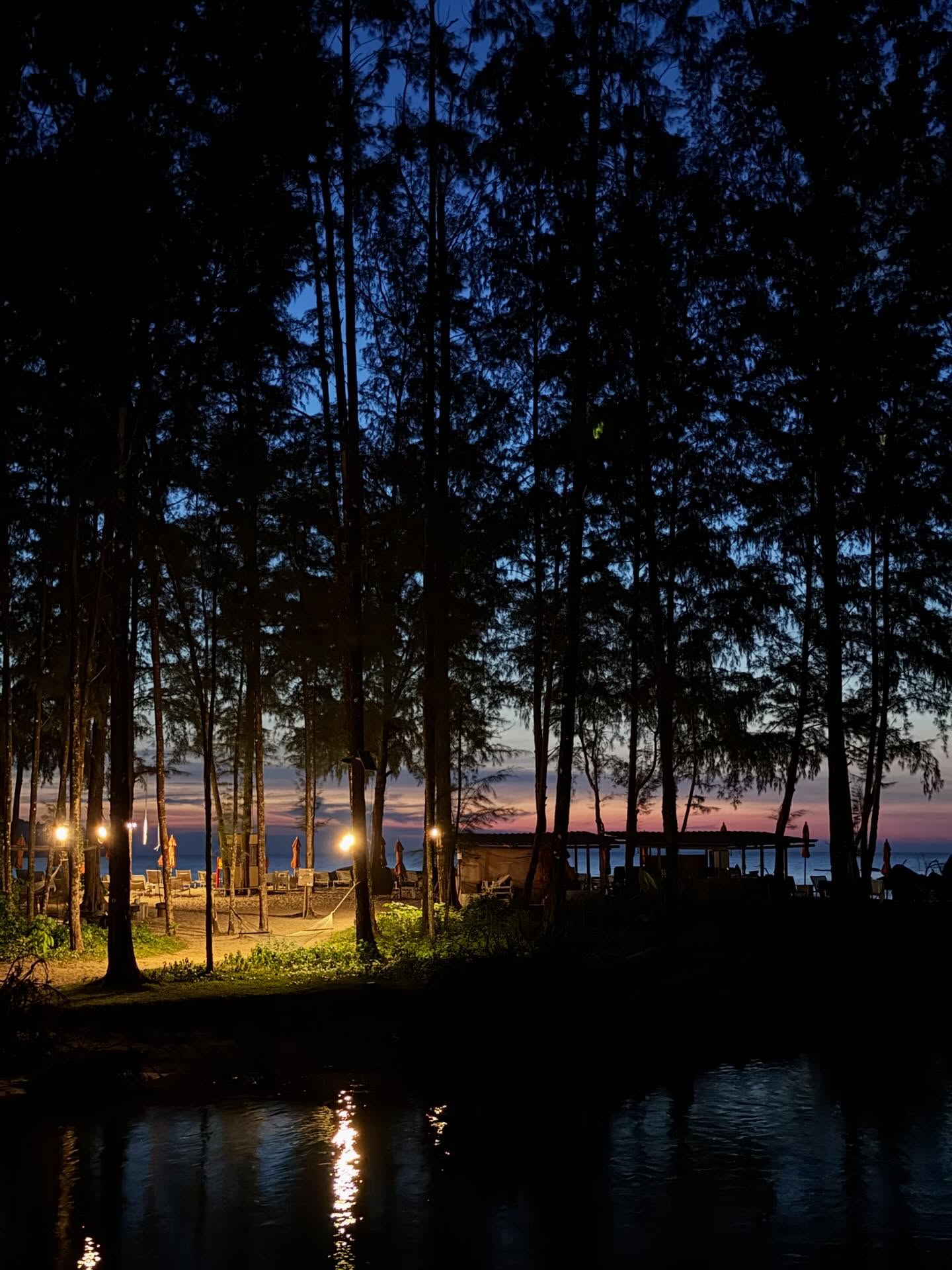 เฟย - ภัทร เอกแสงกุล