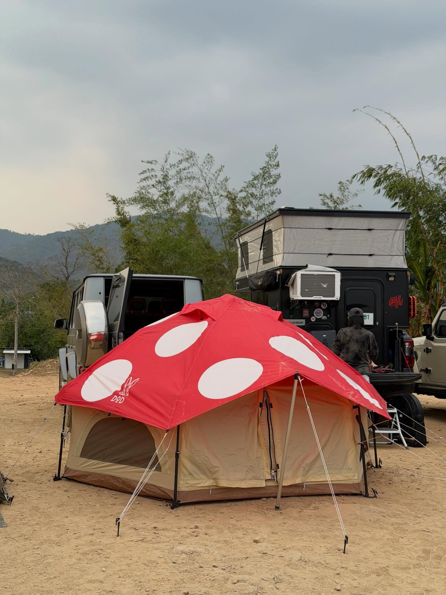 เฟย - ภัทร เอกแสงกุล