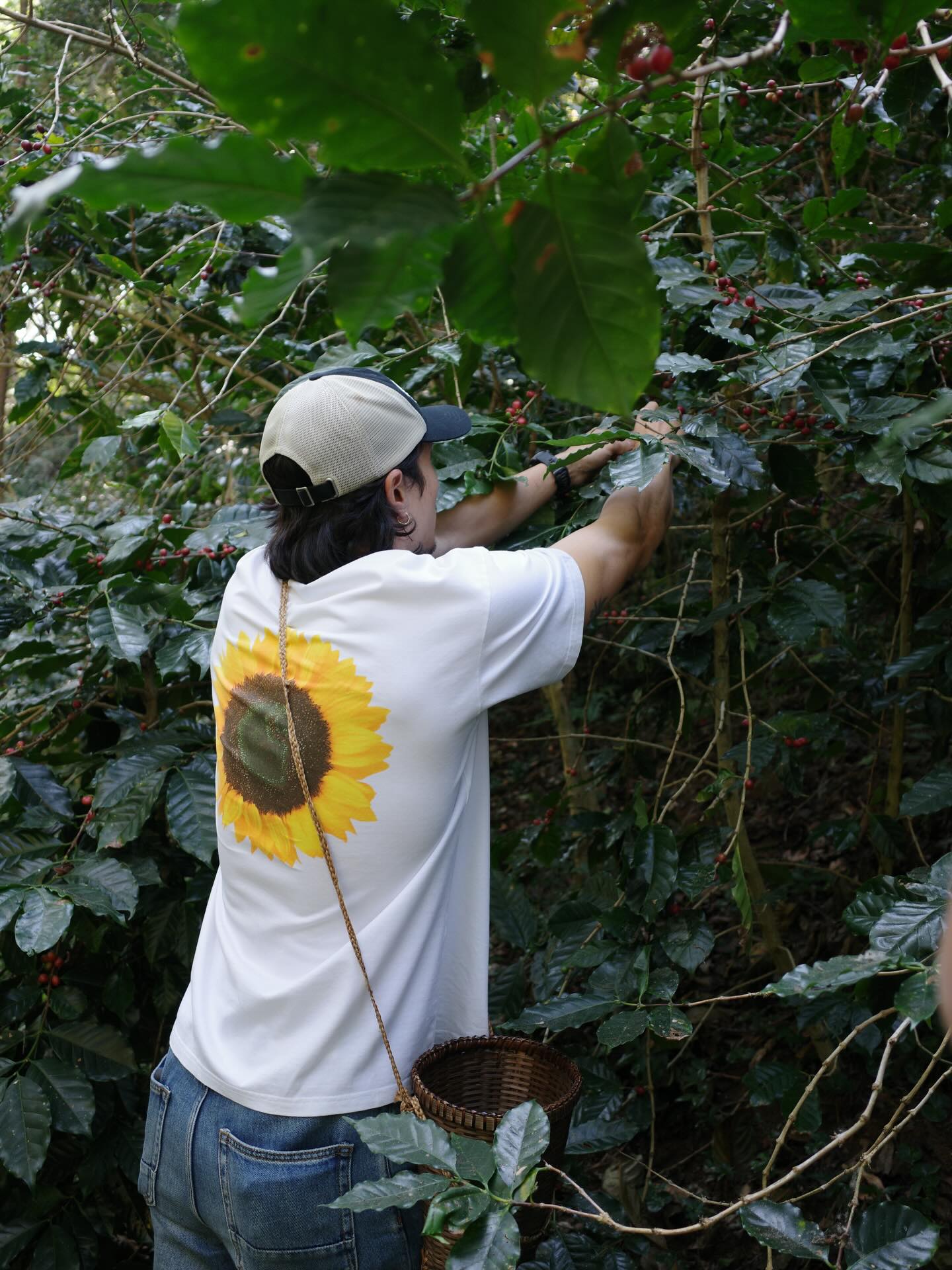 เฟย - ภัทร เอกแสงกุล