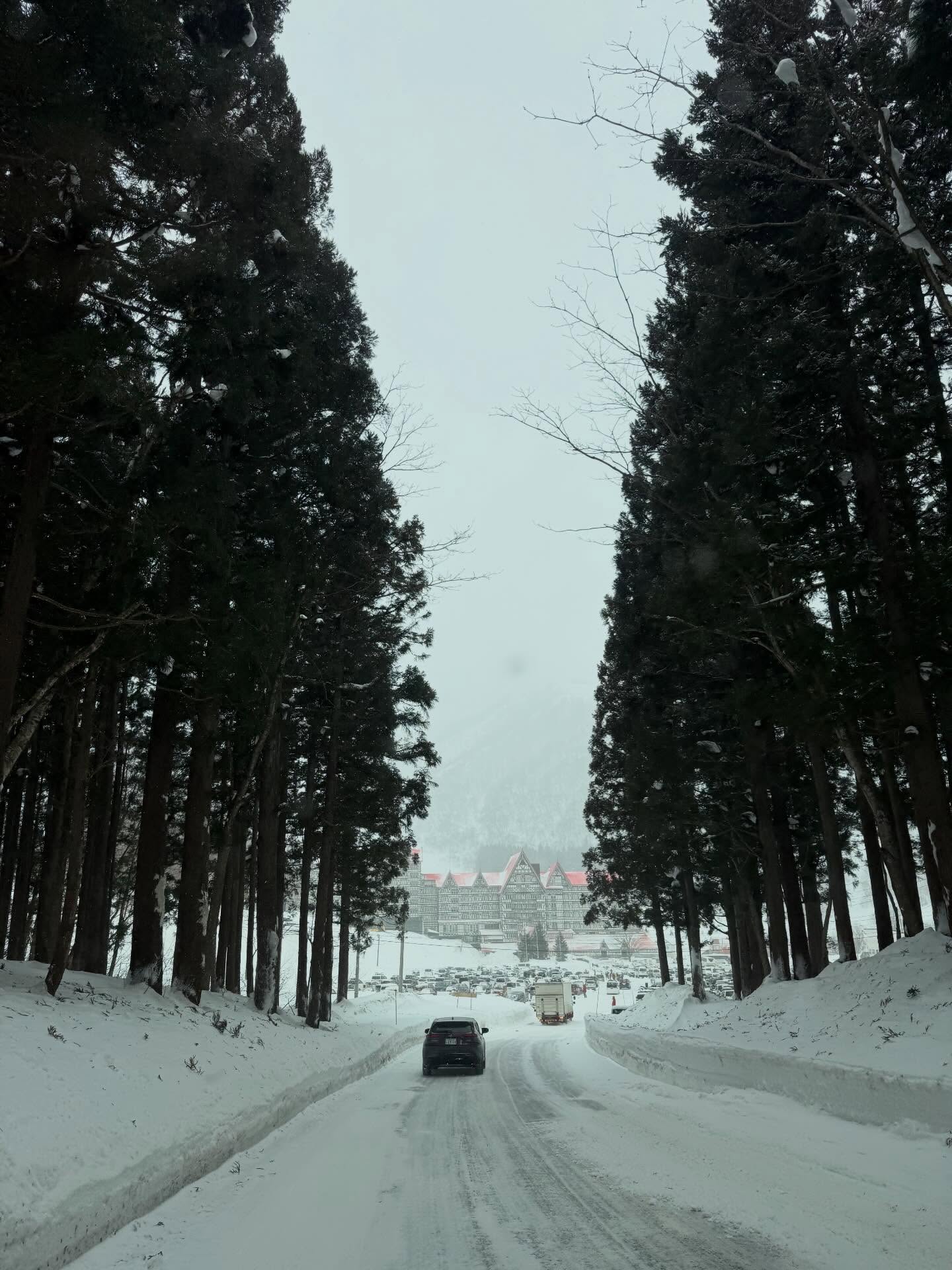 เฟย - ภัทร เอกแสงกุล