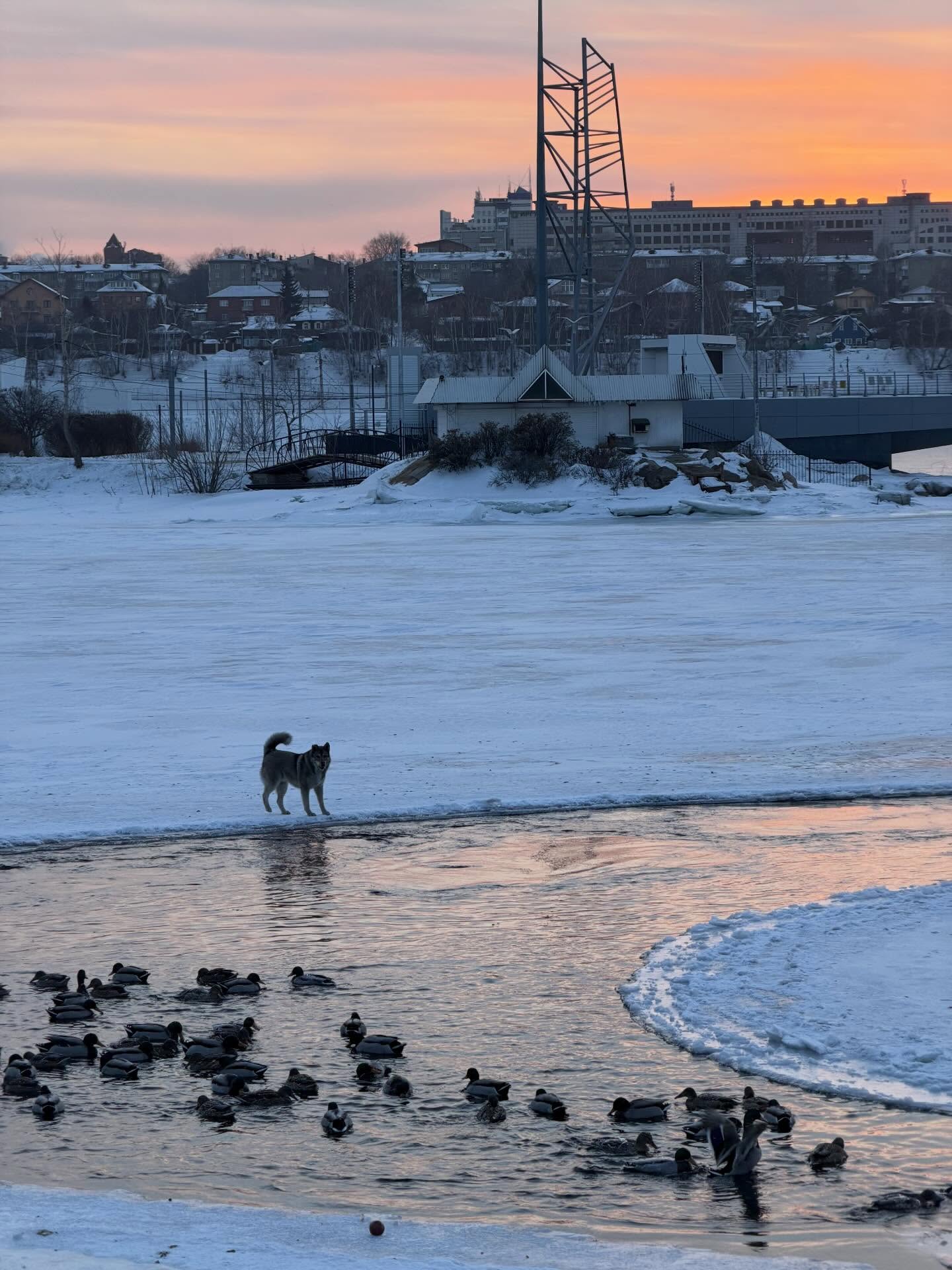 เฟย - ภัทร เอกแสงกุล