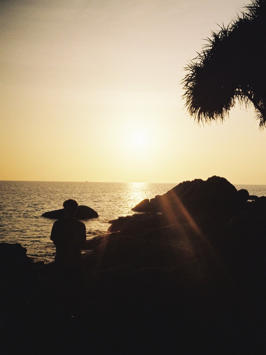 เฟย - ภัทร เอกแสงกุล