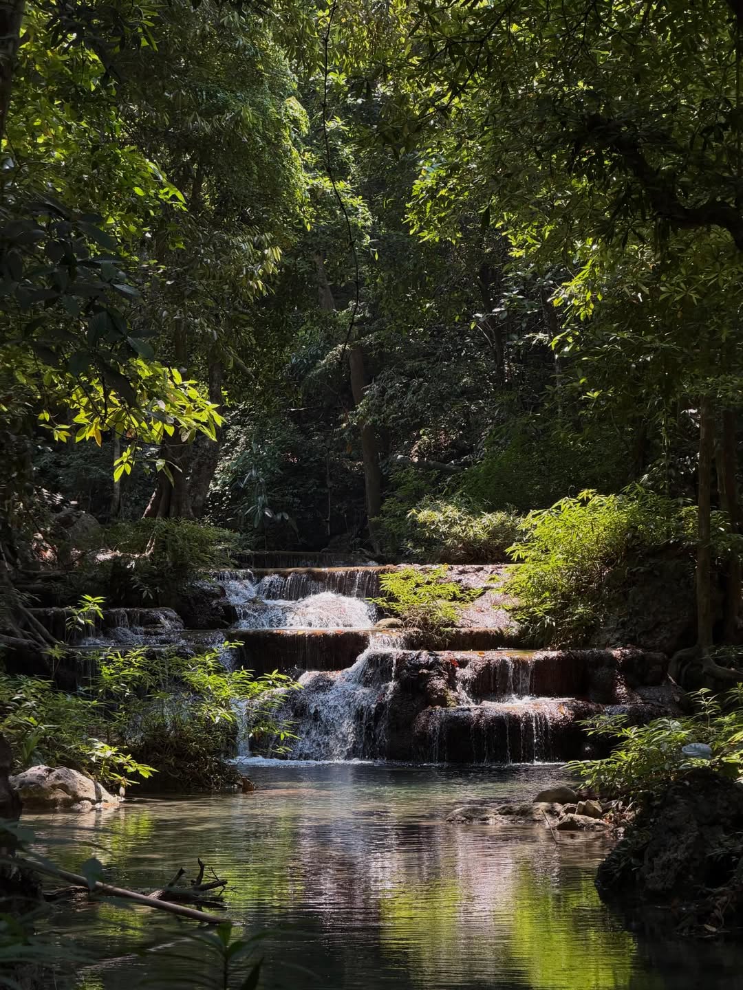 เฟย - ภัทร เอกแสงกุล