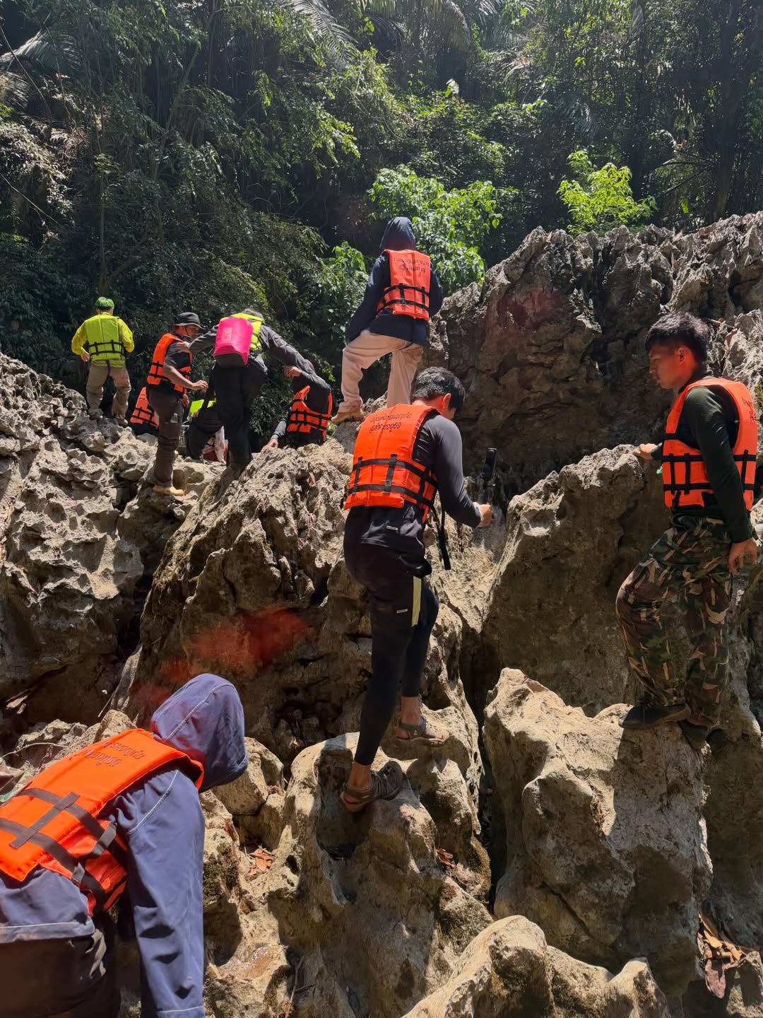 เฟย - ภัทร เอกแสงกุล