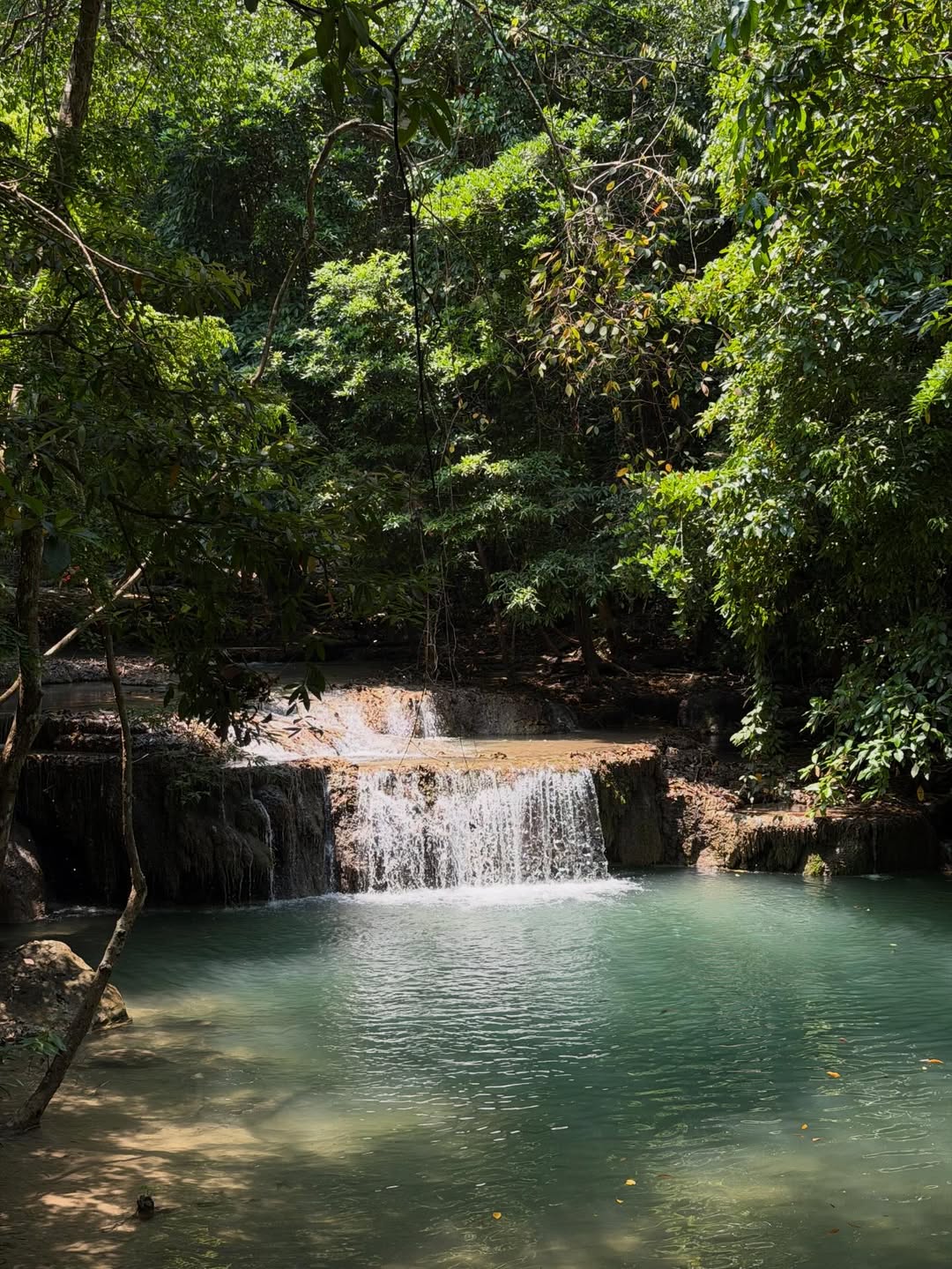 เฟย - ภัทร เอกแสงกุล