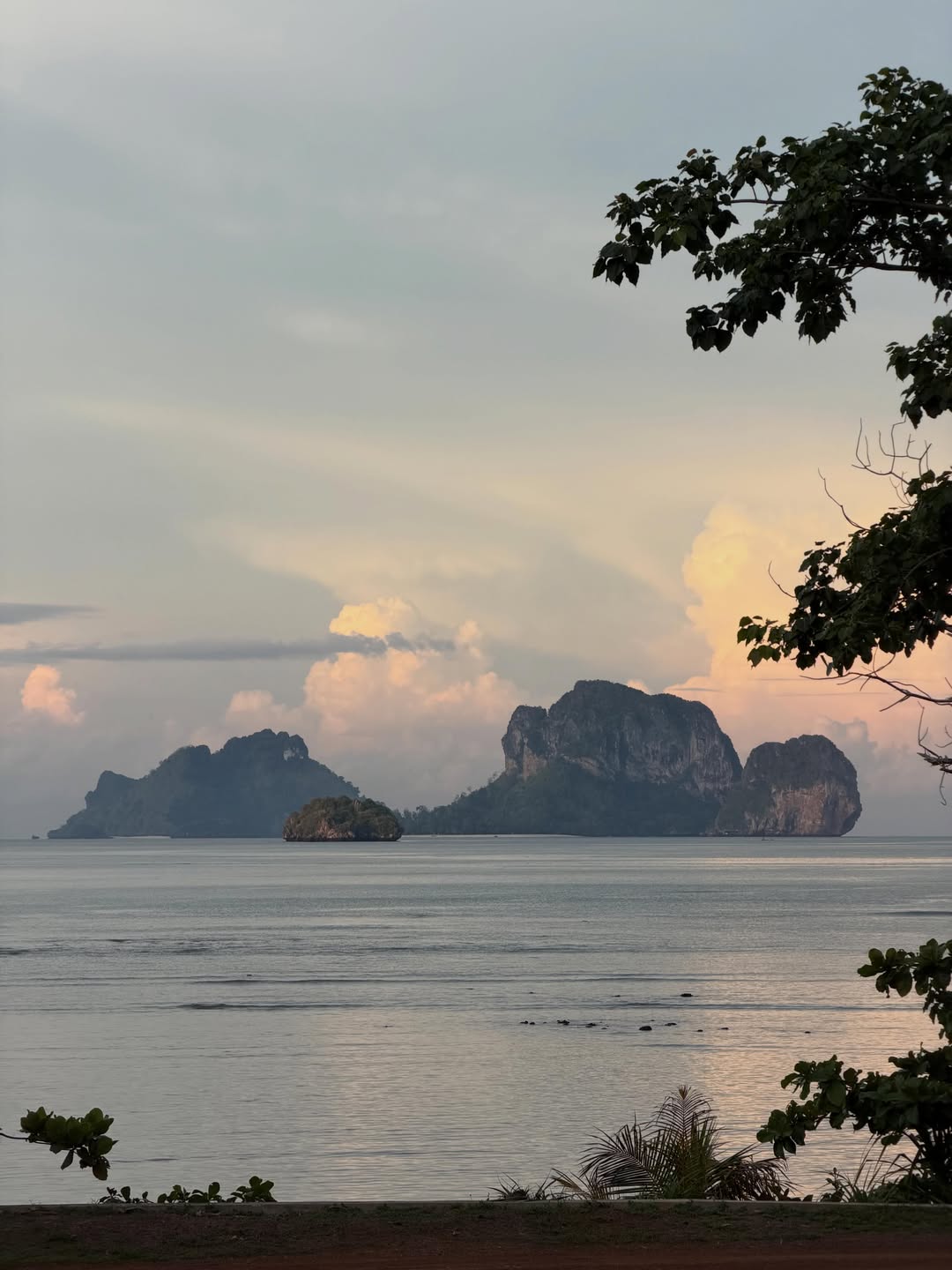 เฟย - ภัทร เอกแสงกุล