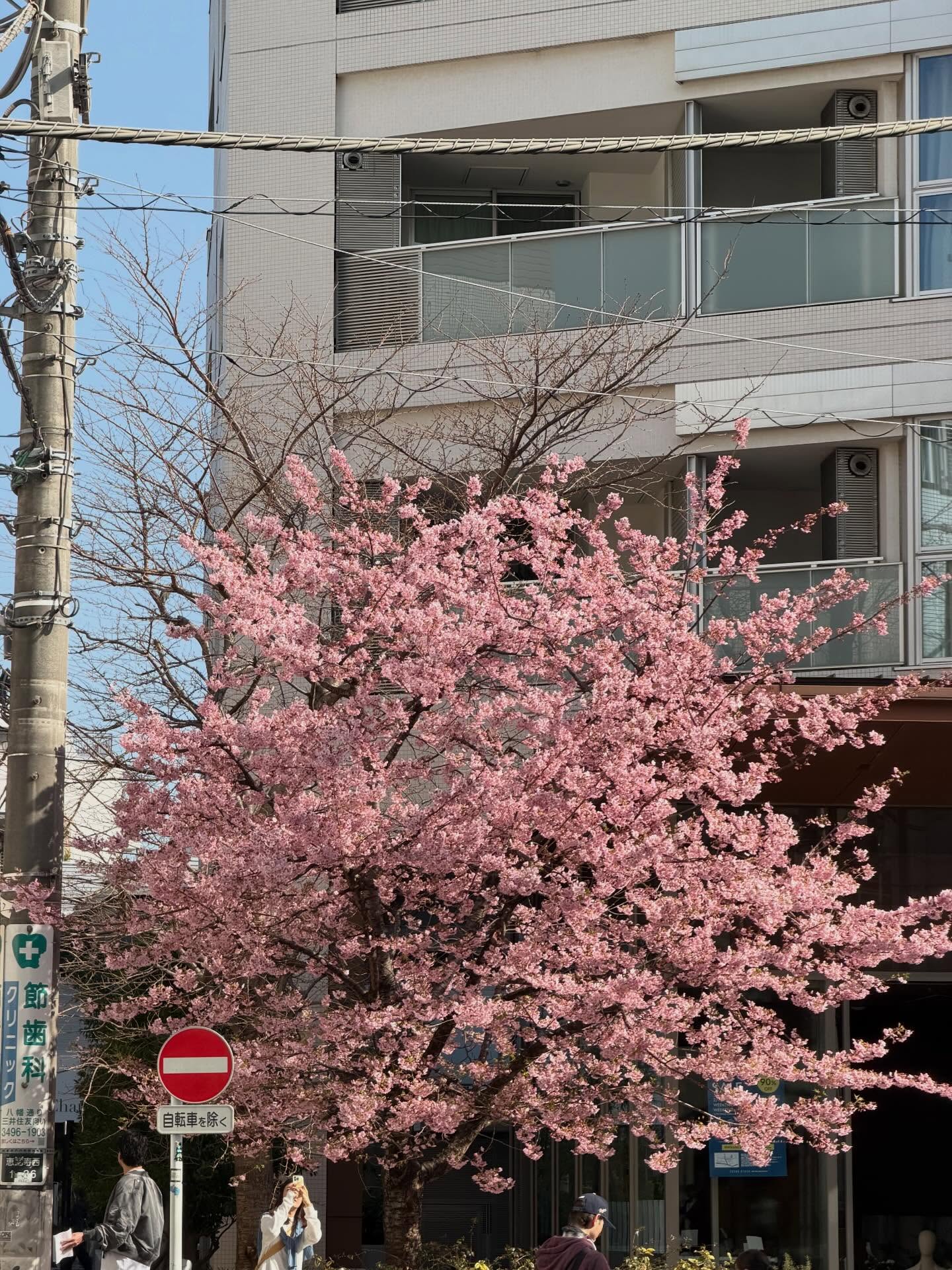 ฟิล์ม - ธนภัทร กาวิละ