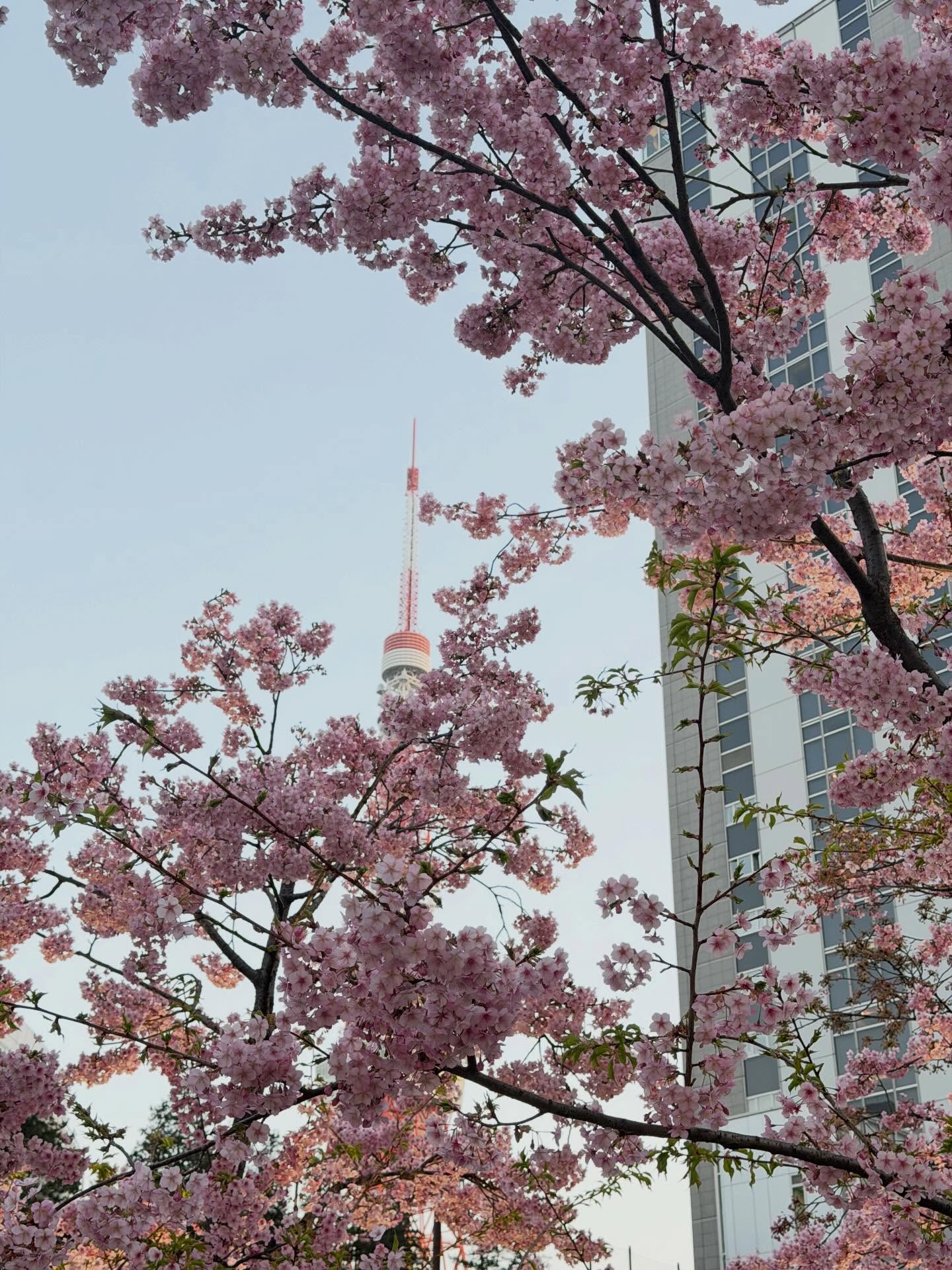 ฟิล์ม - ธนภัทร กาวิละ