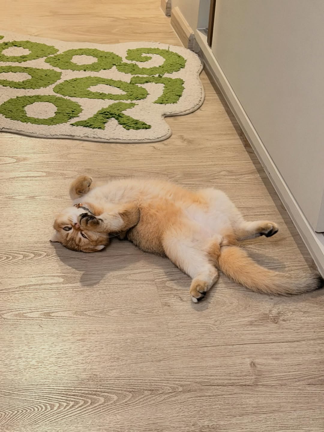 แพรว - นฤภรกมล ฉายแสง