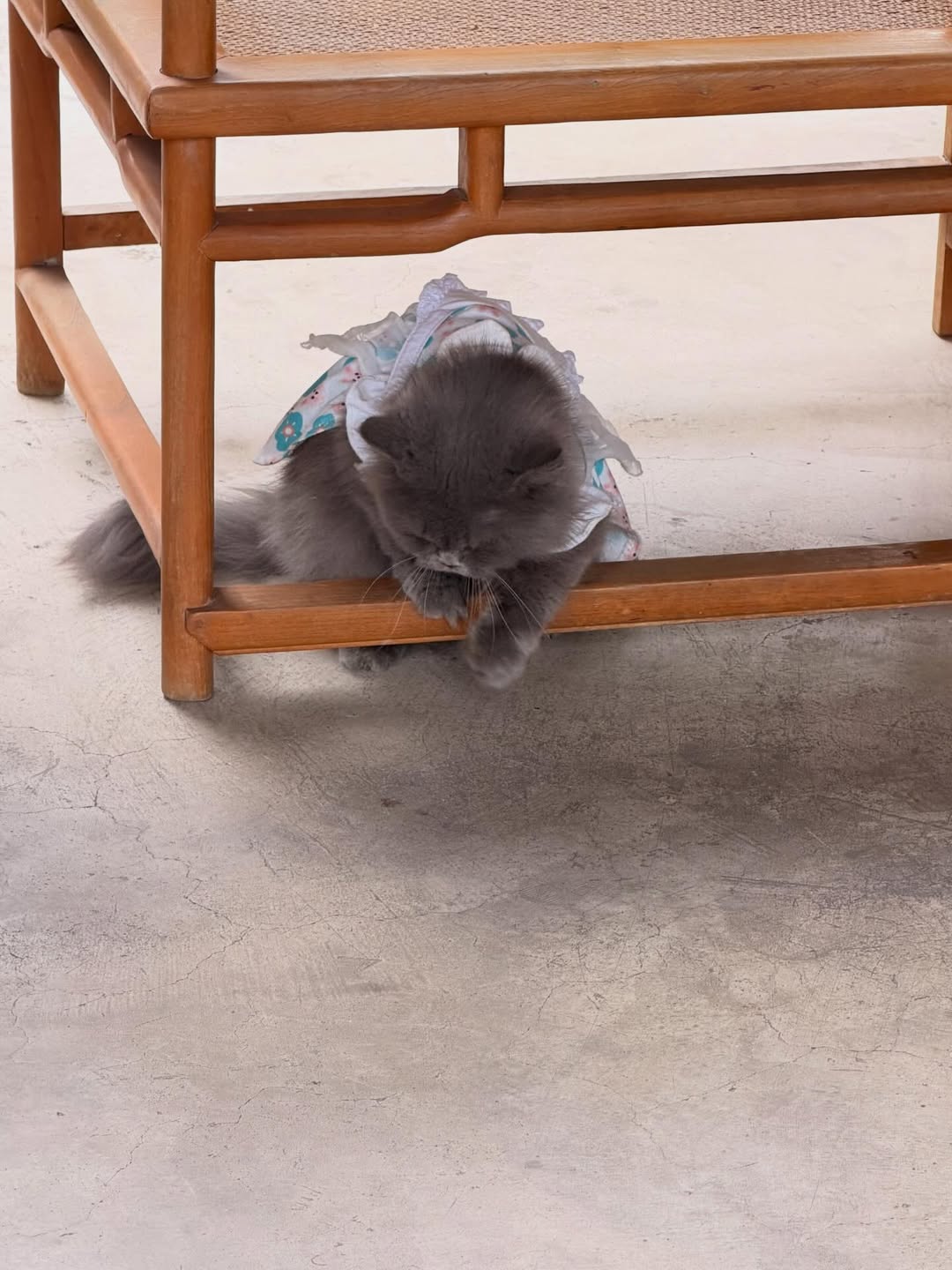 แพรว - นฤภรกมล ฉายแสง