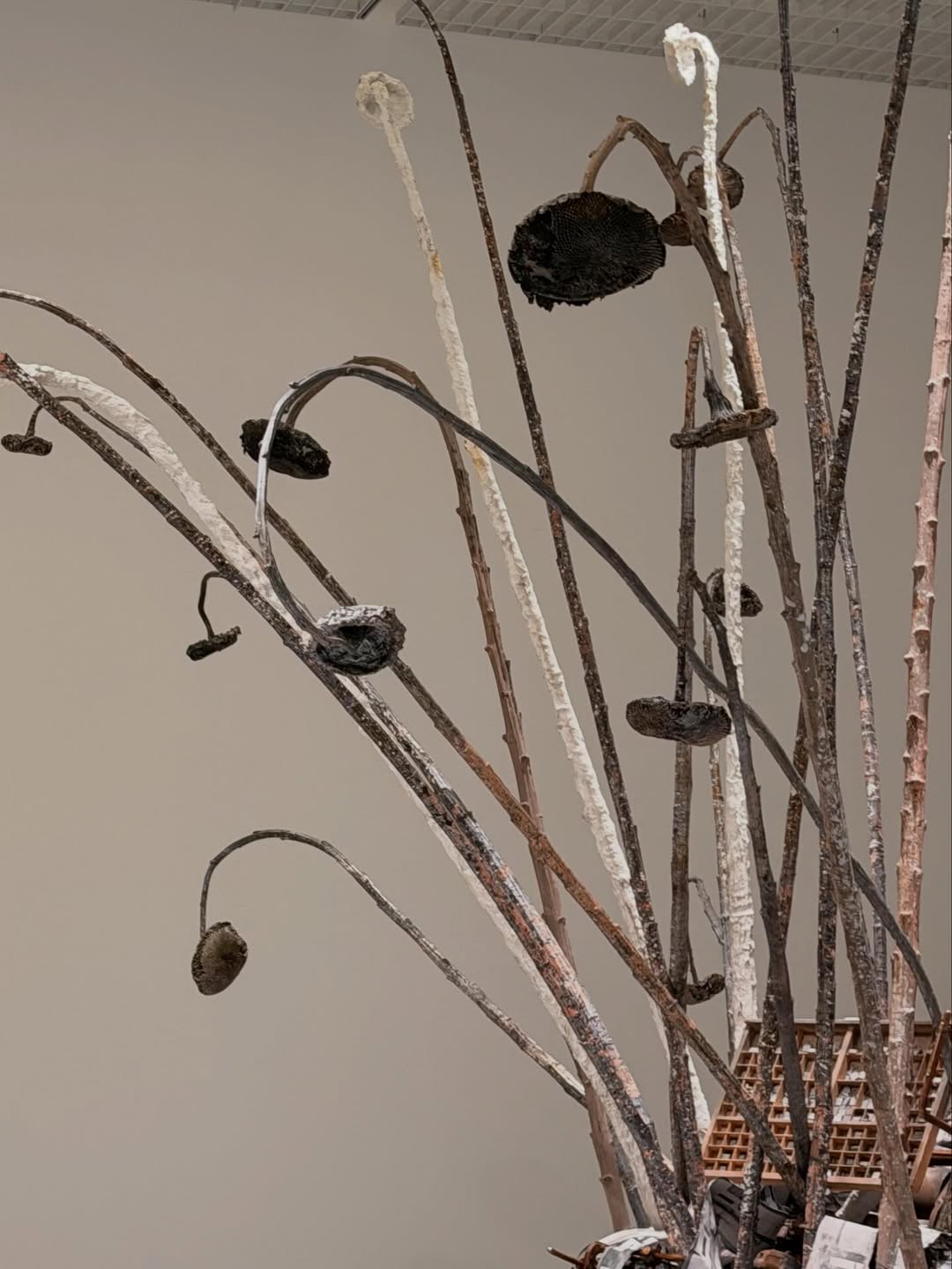 แพรว - นฤภรกมล ฉายแสง