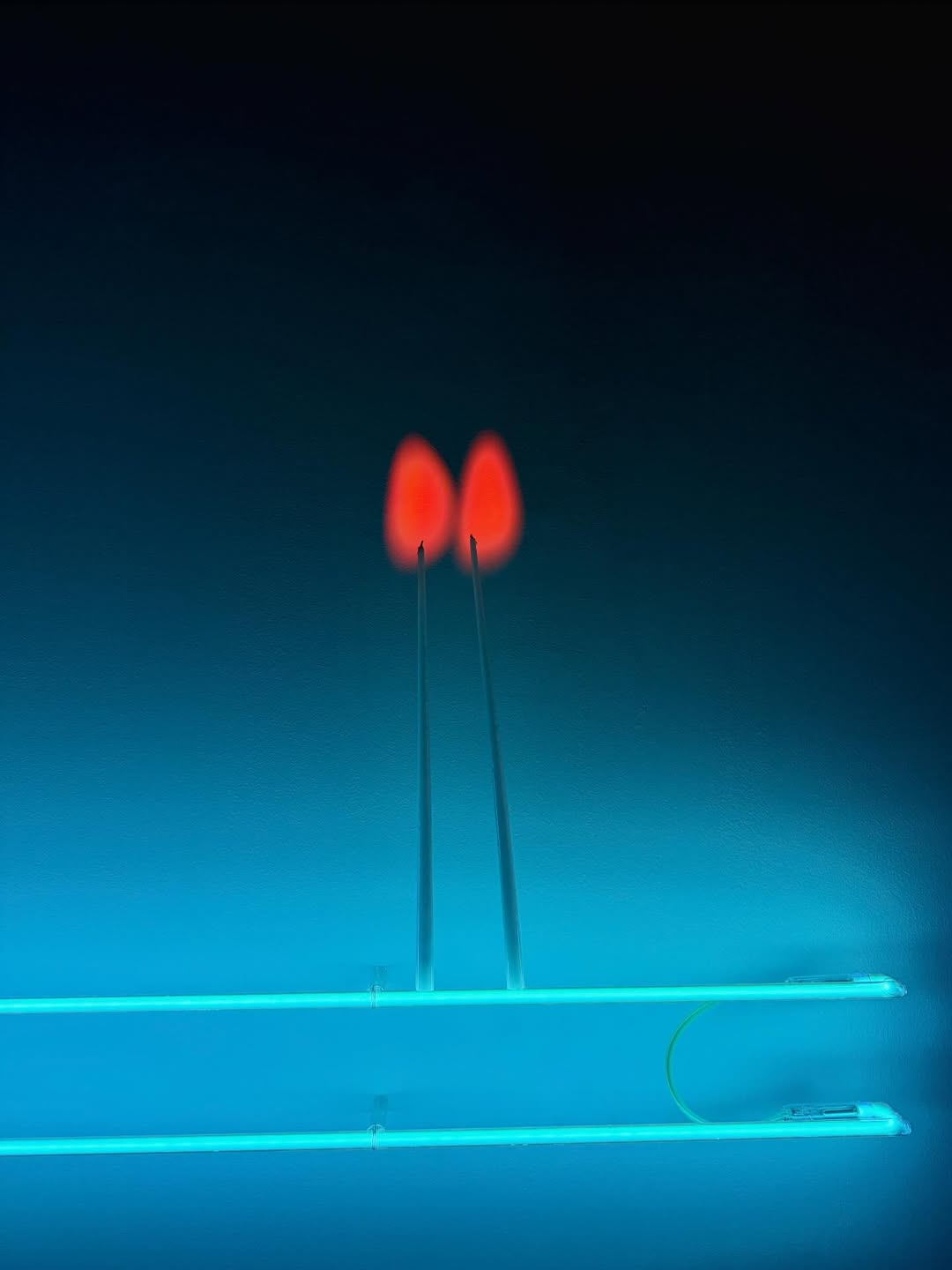 แพรว - นฤภรกมล ฉายแสง