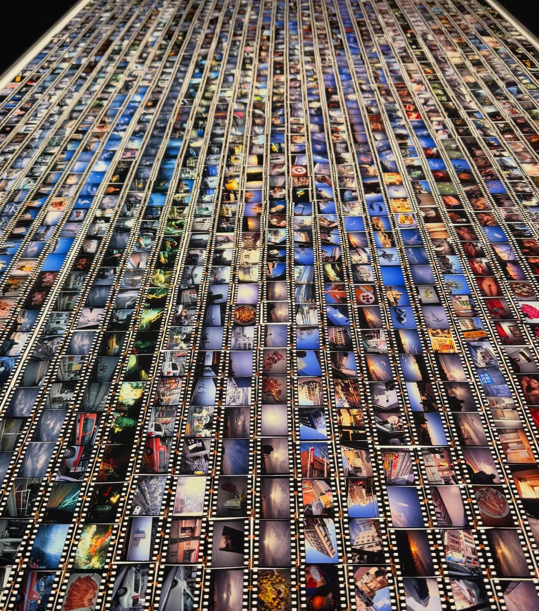 แพรว - นฤภรกมล ฉายแสง