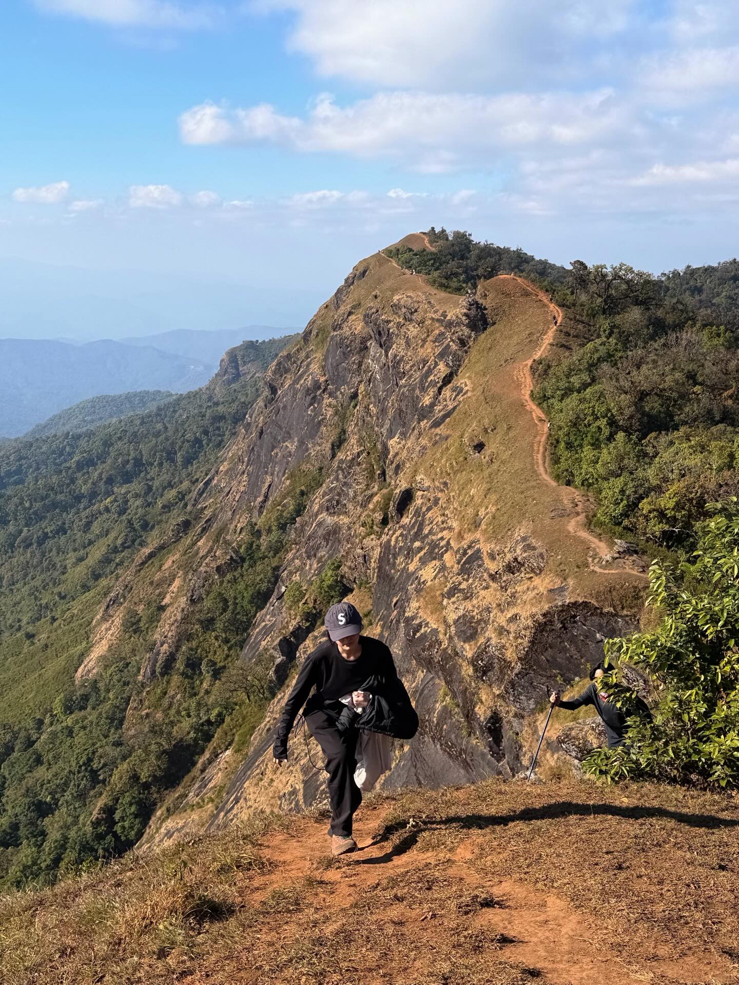แพรว - นฤภรกมล ฉายแสง