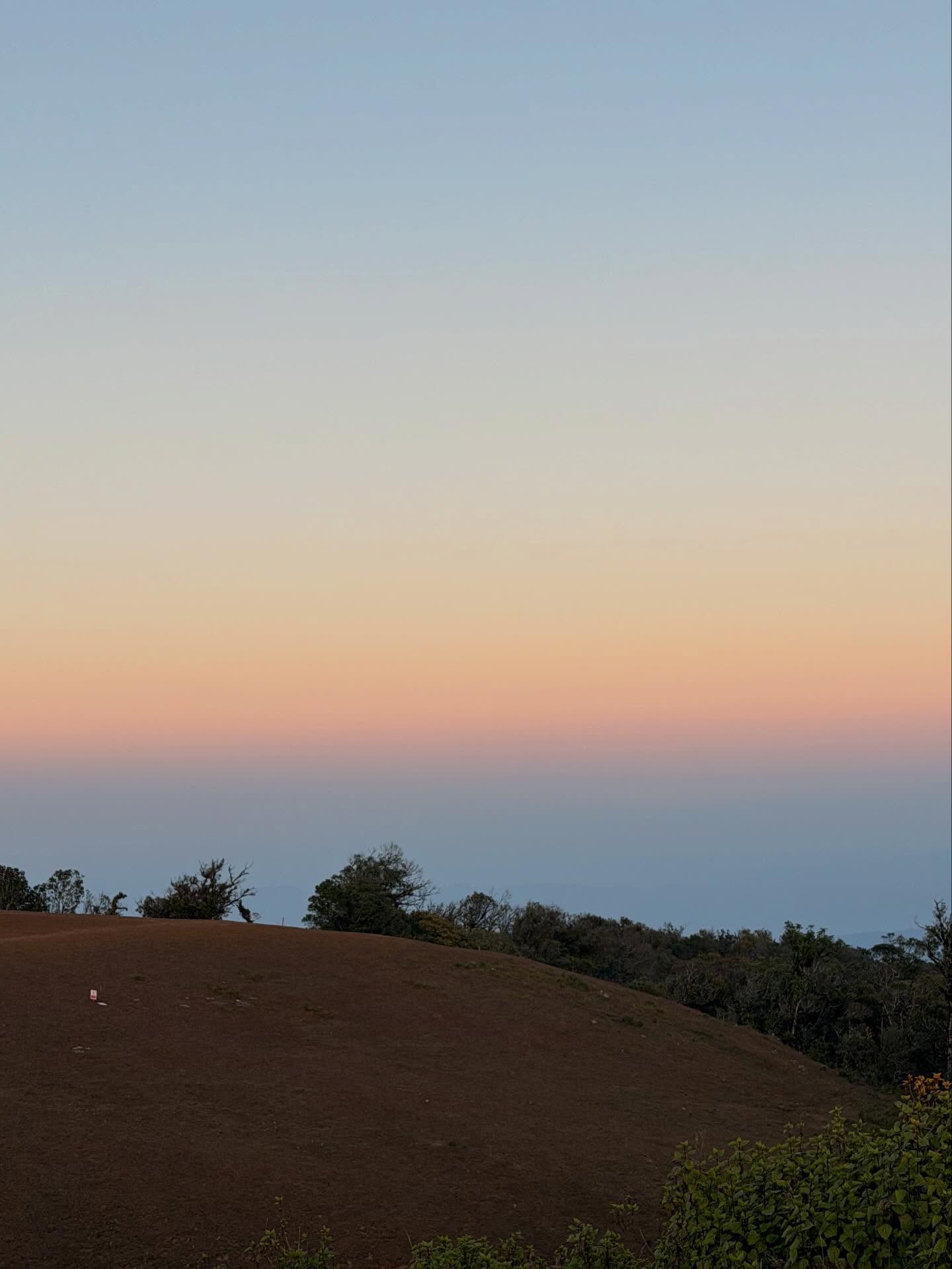 แพรว - นฤภรกมล ฉายแสง