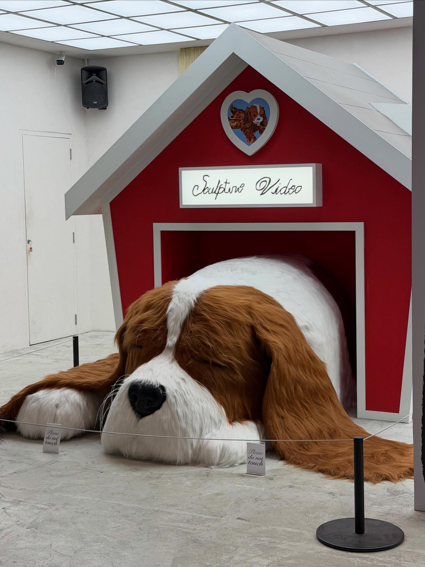 แพรว - นฤภรกมล ฉายแสง