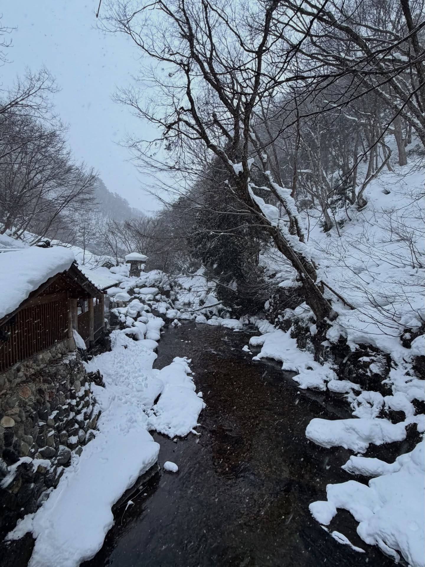 นต - ปณต คุณประเสริฐ