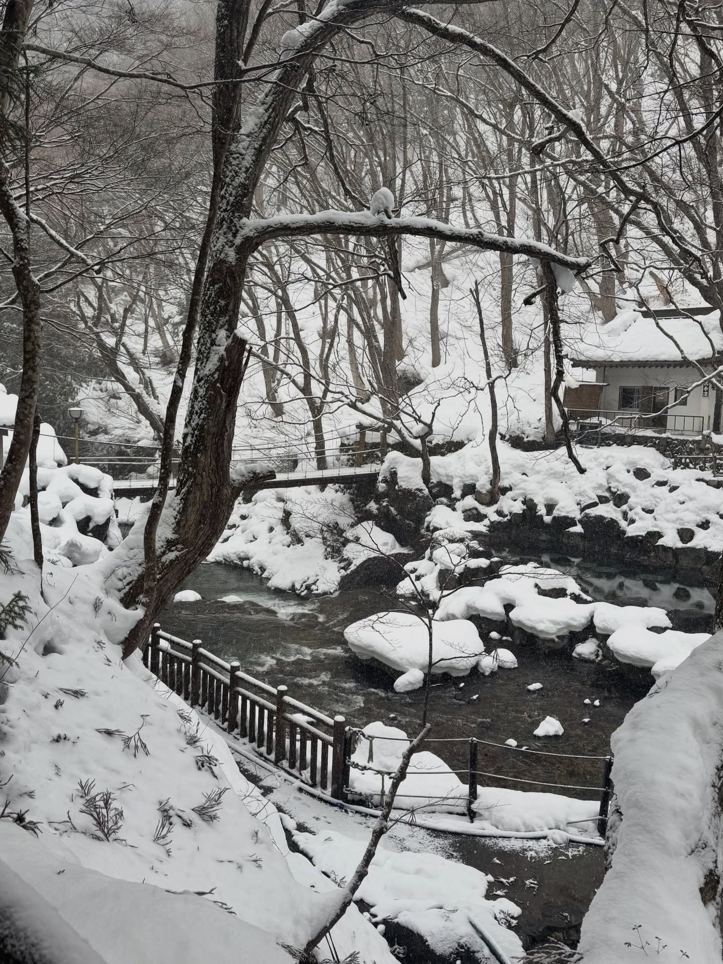 นต - ปณต คุณประเสริฐ