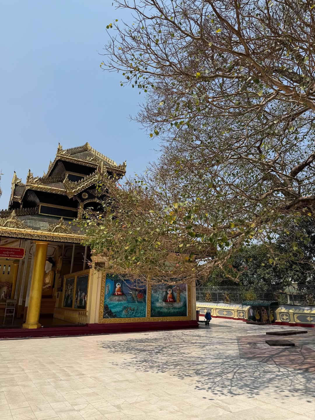 นต - ปณต คุณประเสริฐ