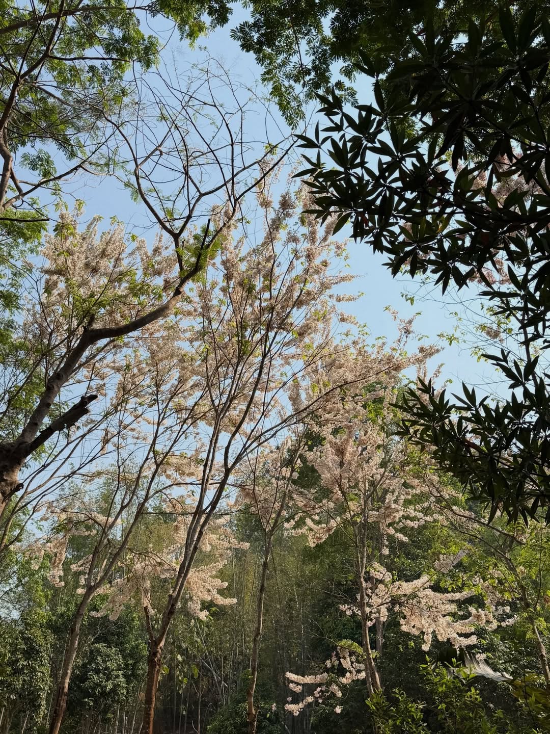 นต - ปณต คุณประเสริฐ