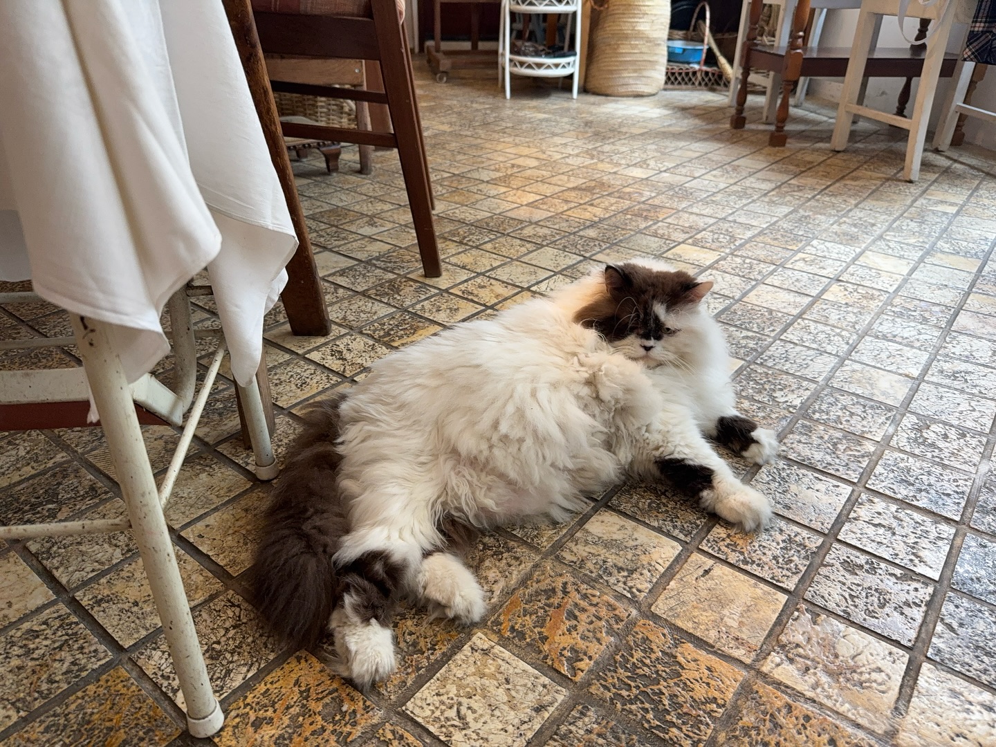 ตู - ต้นตะวัน ตันติเวชกุล