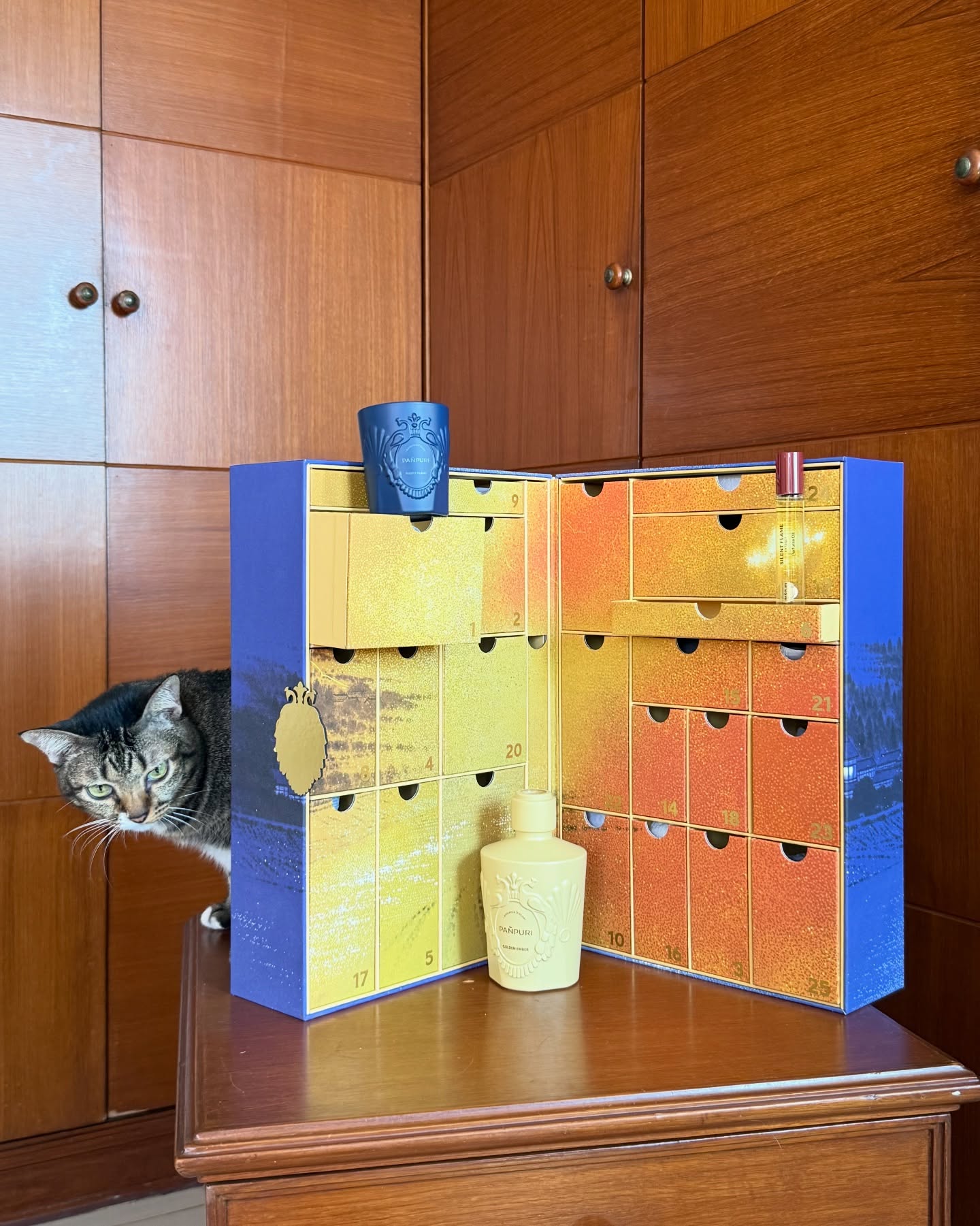 ตู - ต้นตะวัน ตันติเวชกุล