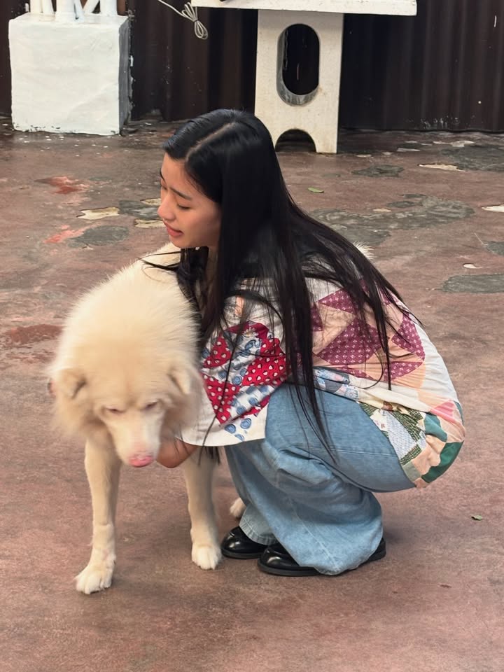 ตู - ต้นตะวัน ตันติเวชกุล