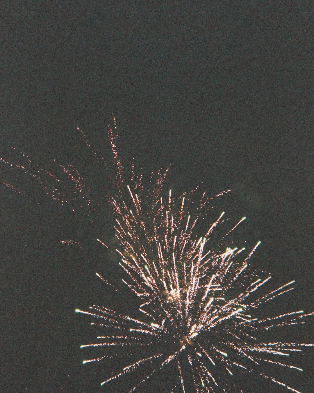 ตู - ต้นตะวัน ตันติเวชกุล