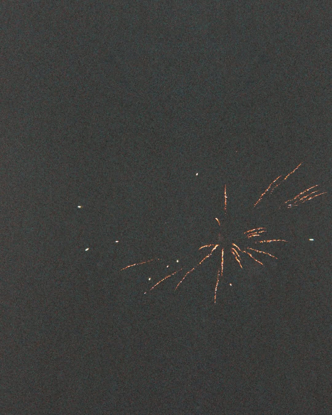 ตู - ต้นตะวัน ตันติเวชกุล