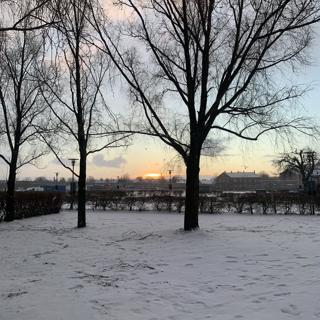 ตู - ต้นตะวัน ตันติเวชกุล