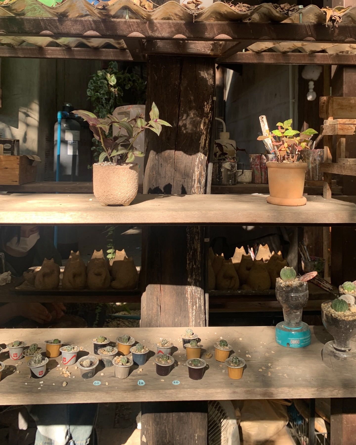 ตู - ต้นตะวัน ตันติเวชกุล