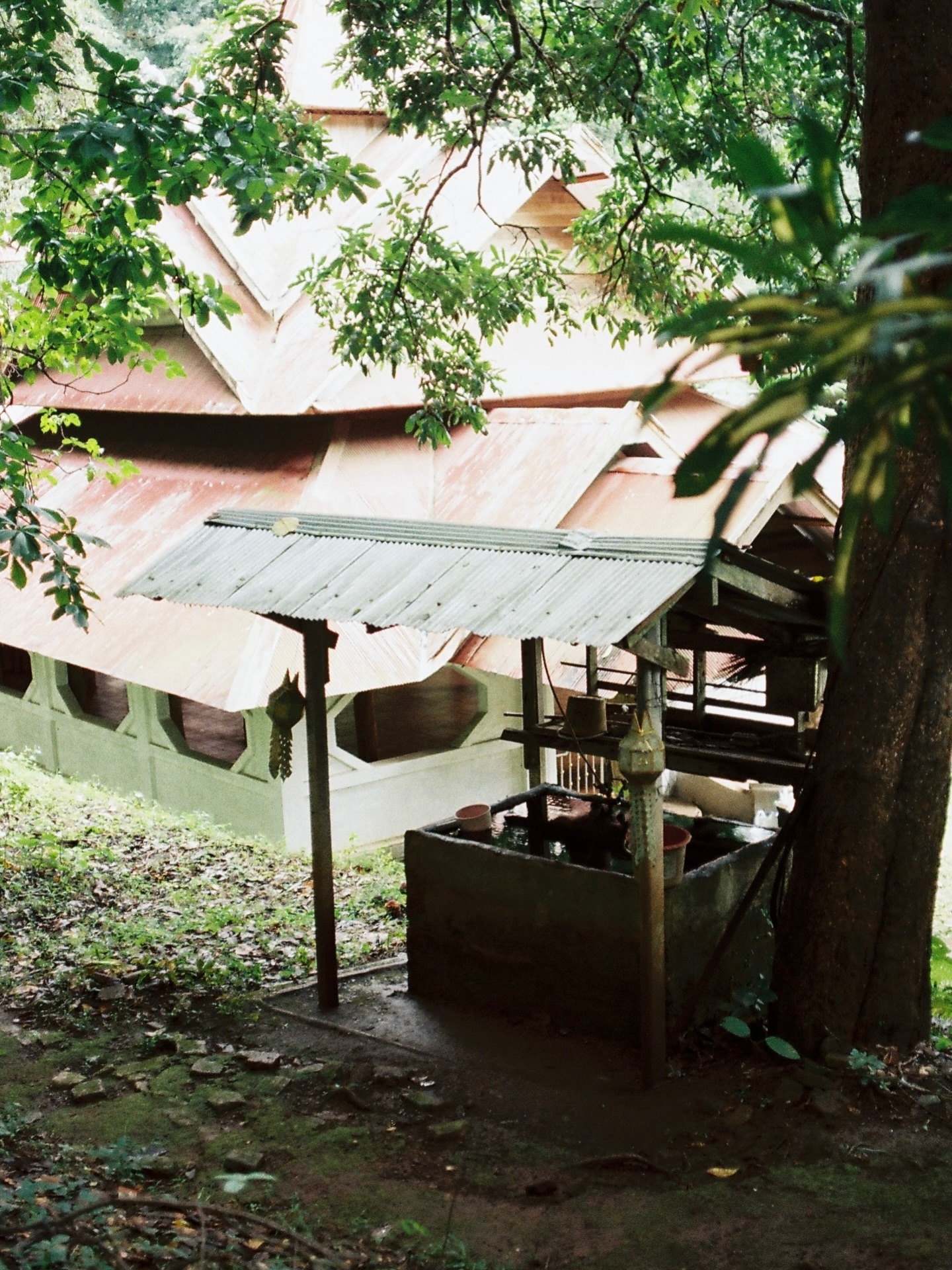 ตู - ต้นตะวัน ตันติเวชกุล