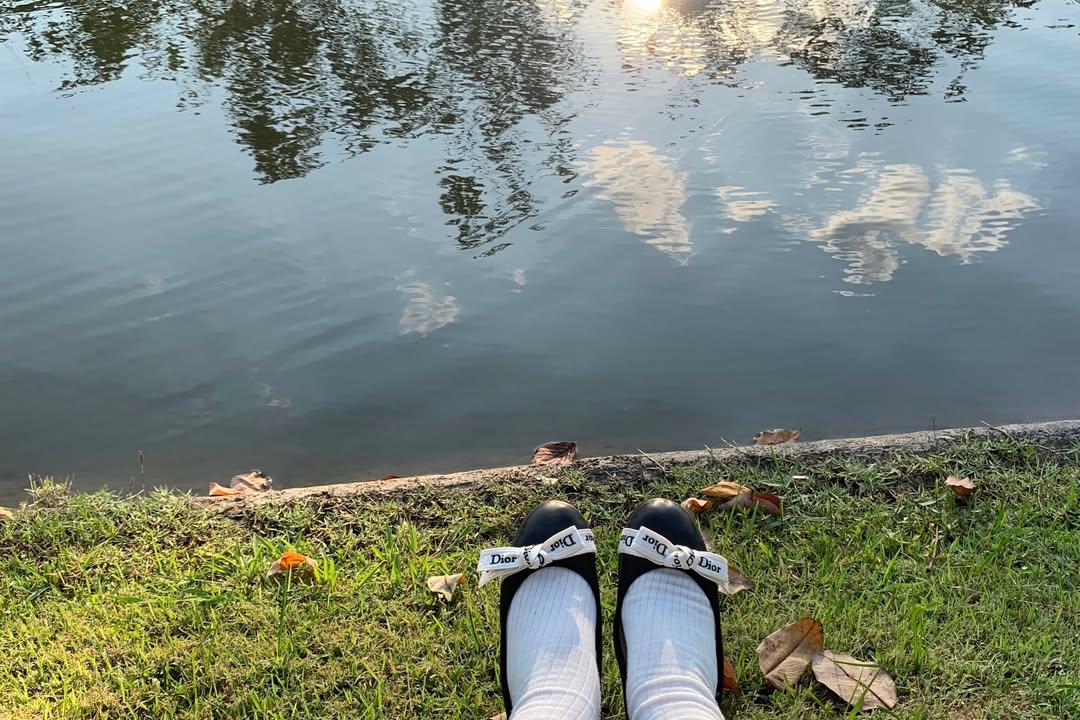 ตู - ต้นตะวัน ตันติเวชกุล