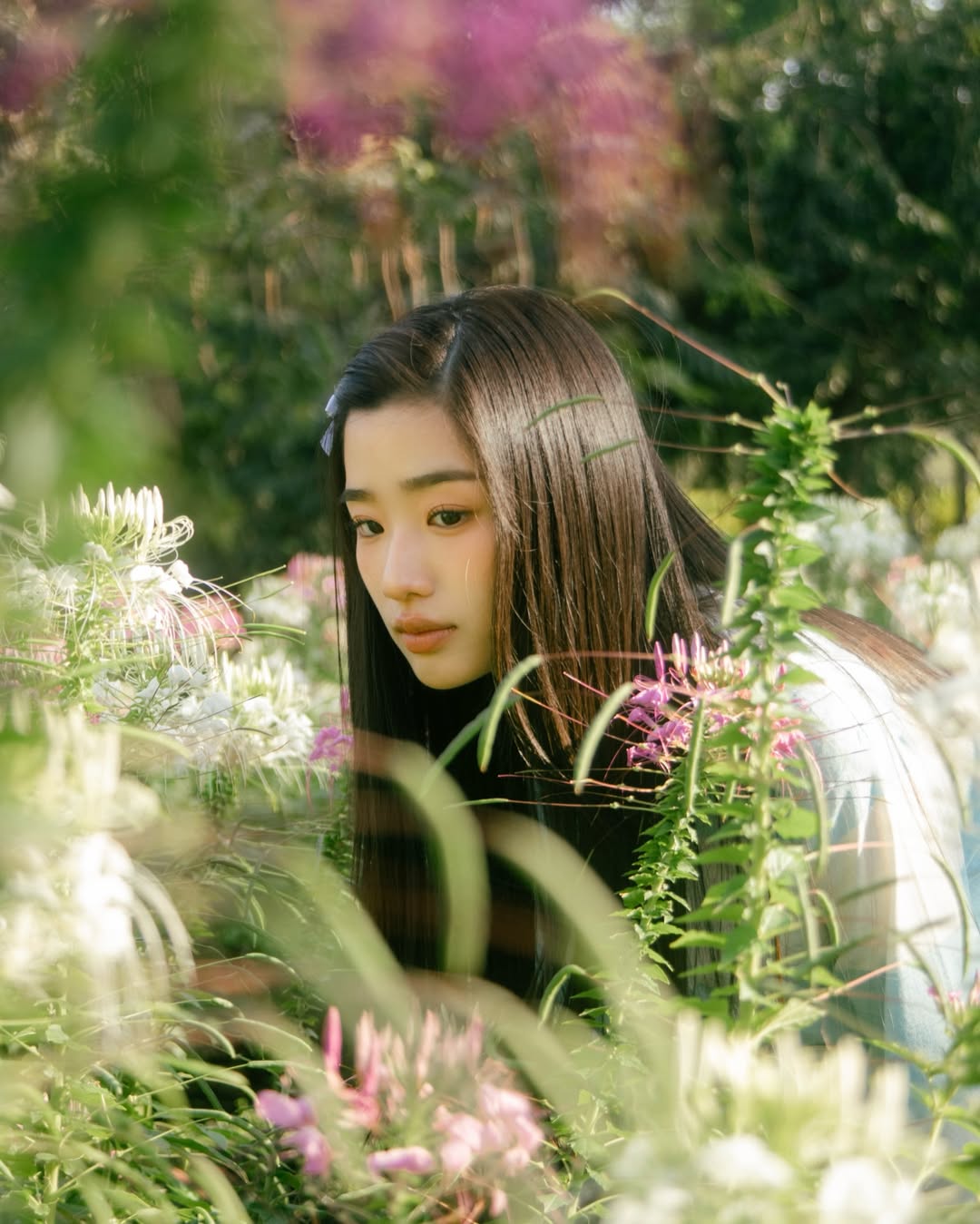 ตู - ต้นตะวัน ตันติเวชกุล