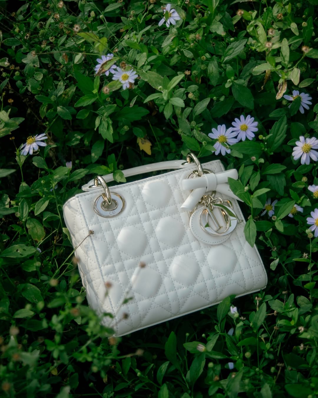 ตู - ต้นตะวัน ตันติเวชกุล