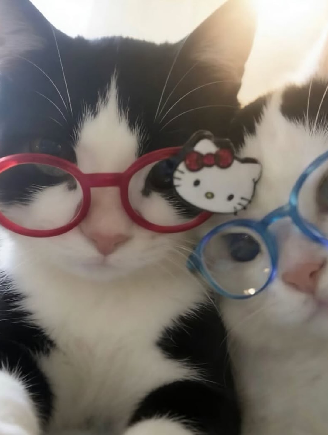 ตู - ต้นตะวัน ตันติเวชกุล