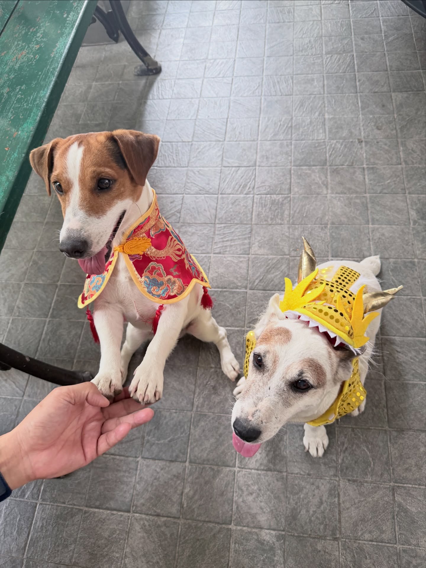 ตู - ต้นตะวัน ตันติเวชกุล