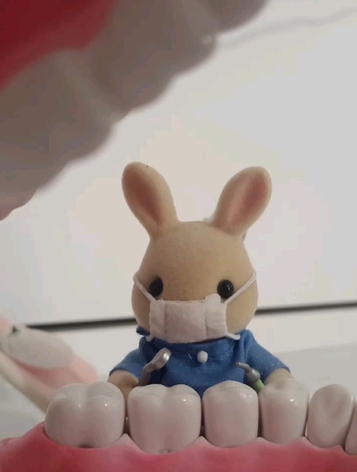 ตู - ต้นตะวัน ตันติเวชกุล