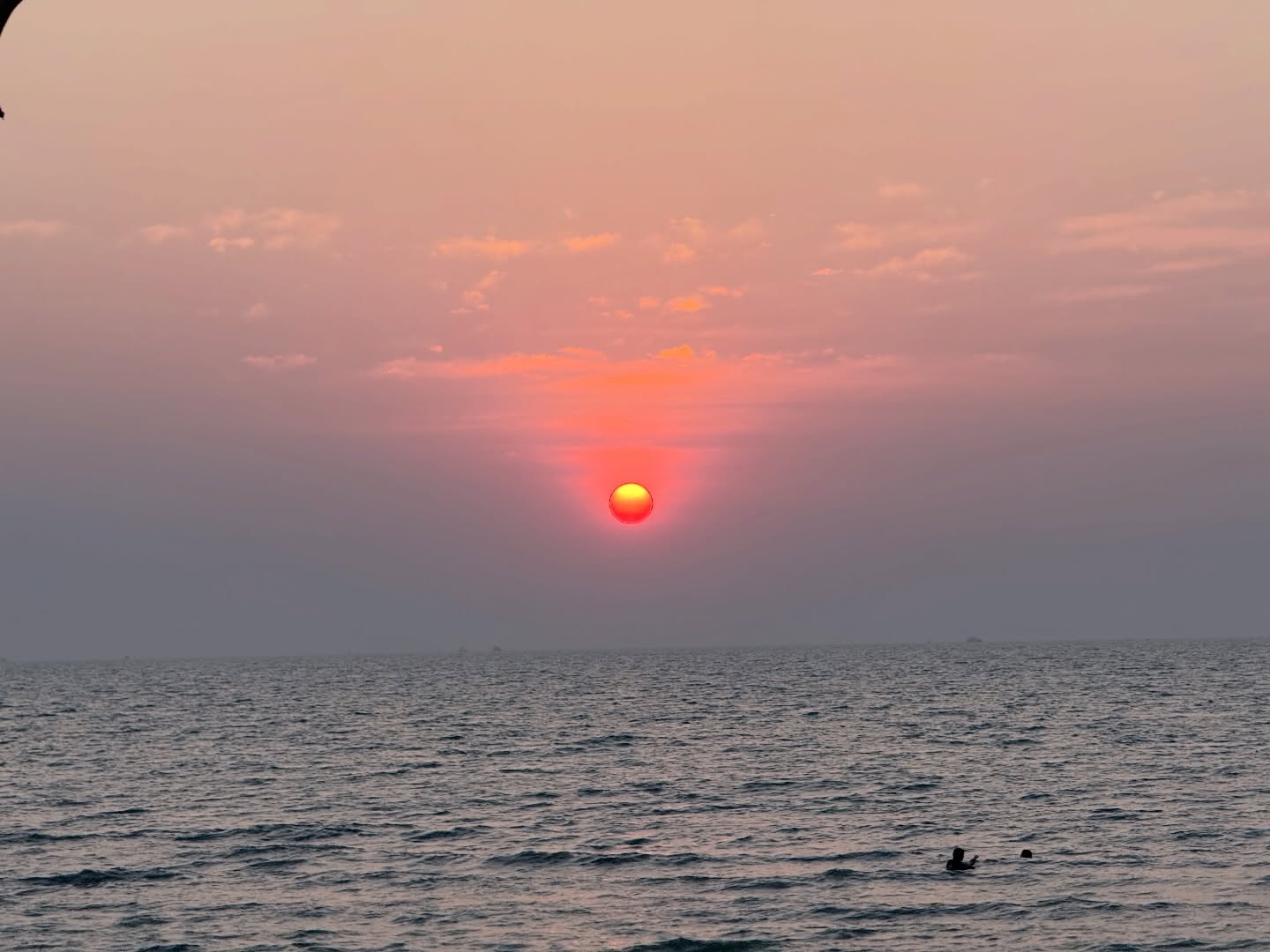 ตู - ต้นตะวัน ตันติเวชกุล