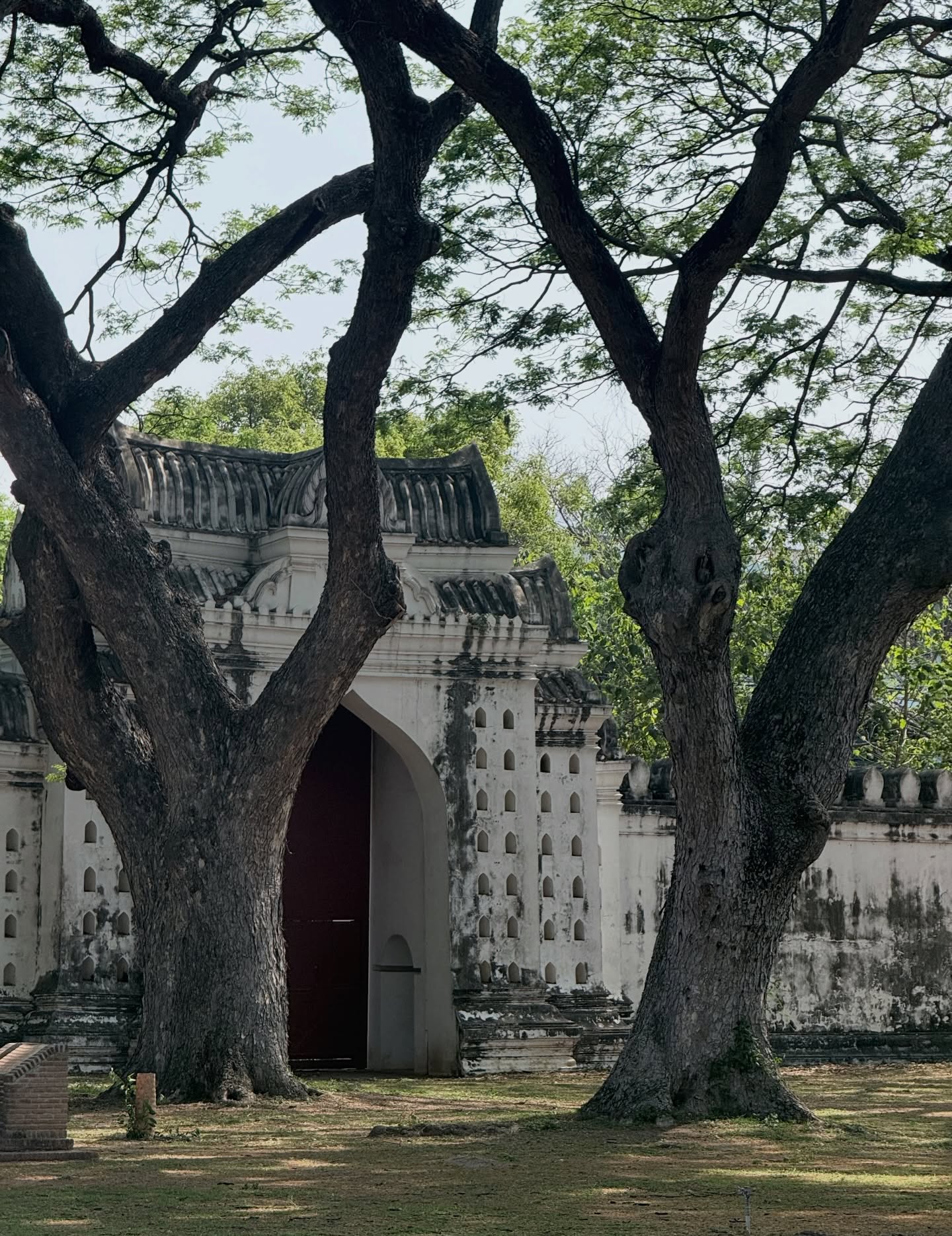 ตู - ต้นตะวัน ตันติเวชกุล