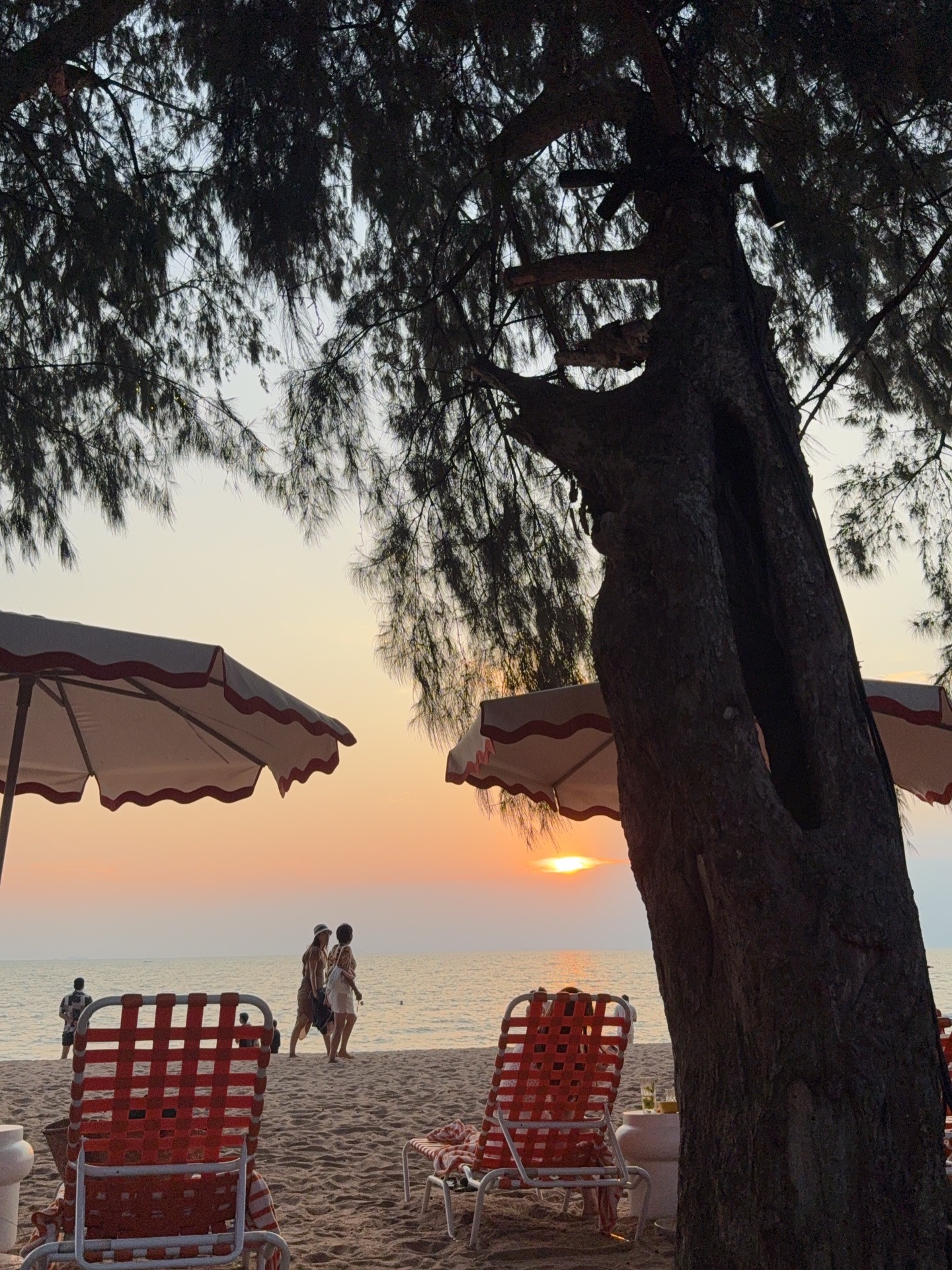 ตู - ต้นตะวัน ตันติเวชกุล